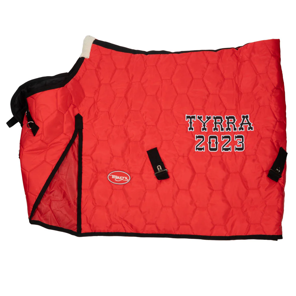 Trophy Horse Blanket #3 - Image 3