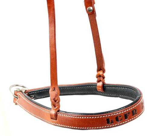 Trophy Noseband #1