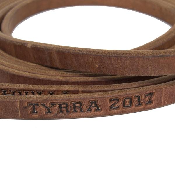 Trophy Reins #3 - Image 3