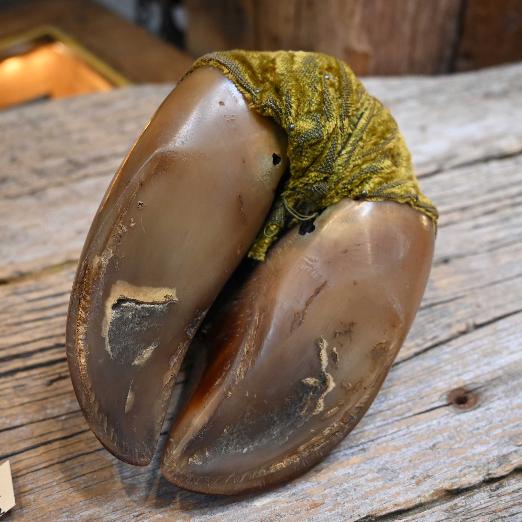Turn of the Century Hoof Pin cushion - Image 3