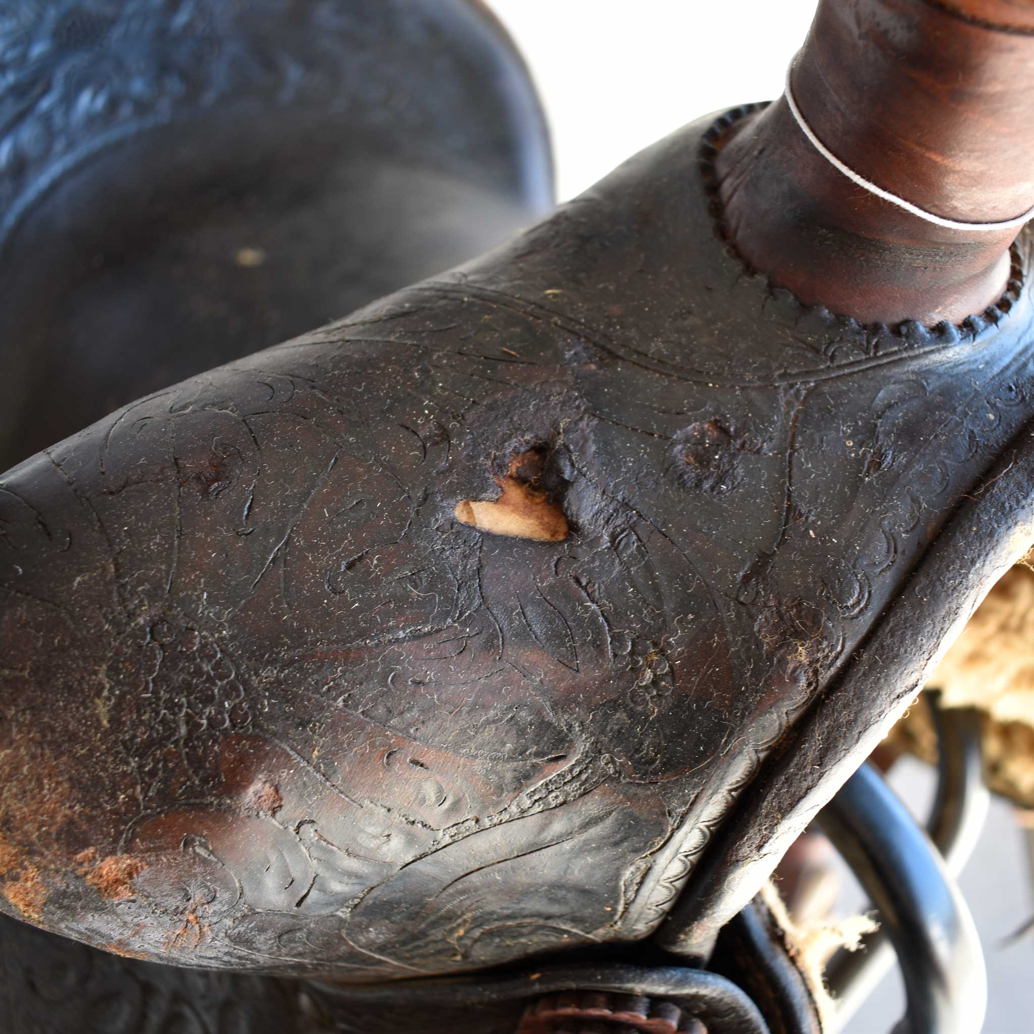 Used 13" Non-Rider Saddle Decor Only - Image 9