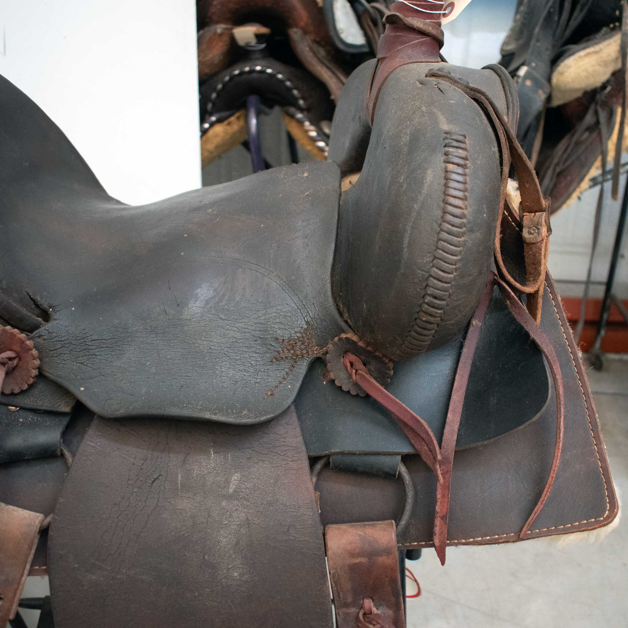 Used 14.5" Non-Rider Decor Saddle - Image 6