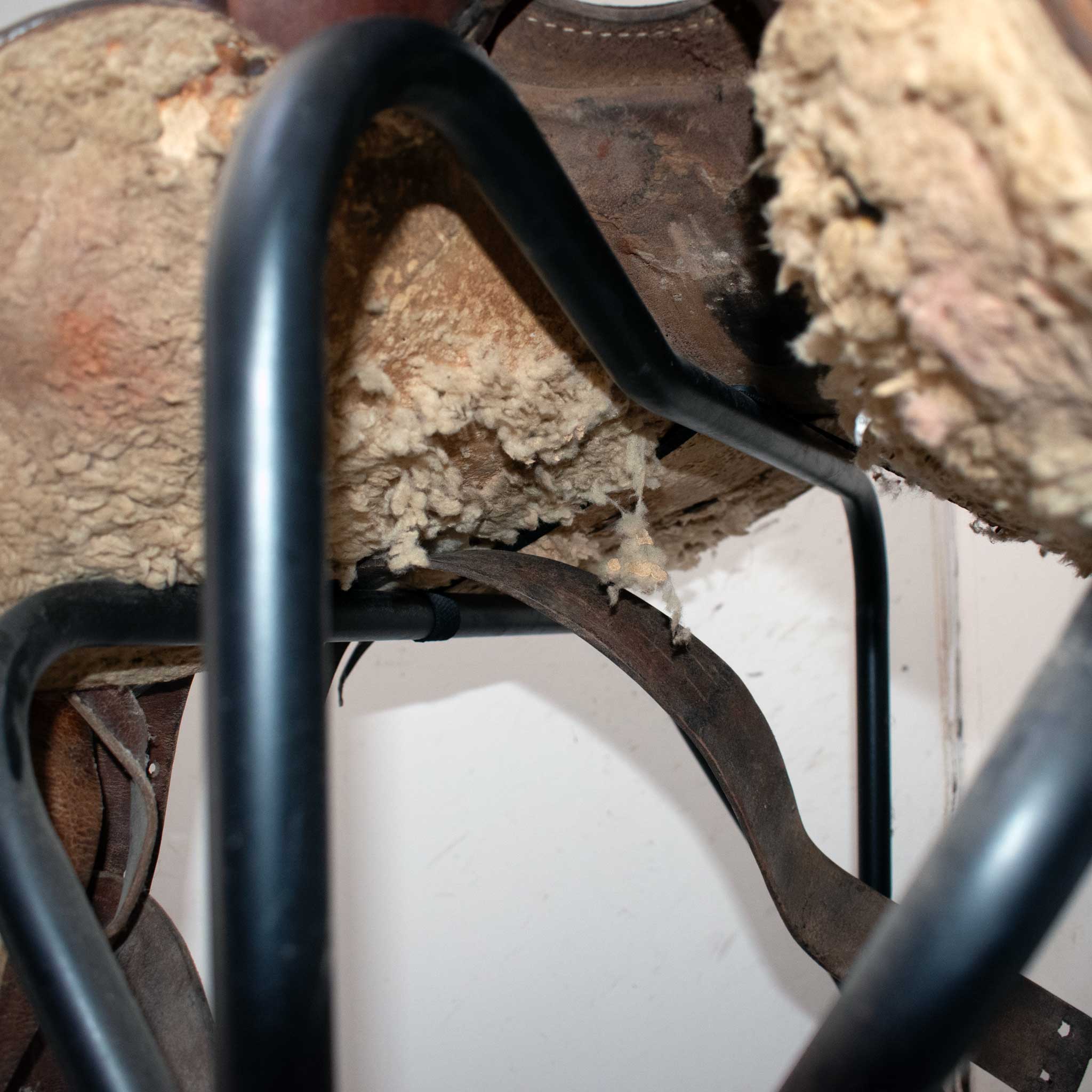 Used 15" Non-Rider Decor Only Saddle - Image 6