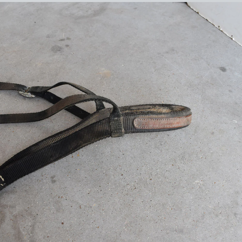 Used Noseband With Tie Down - Image 2