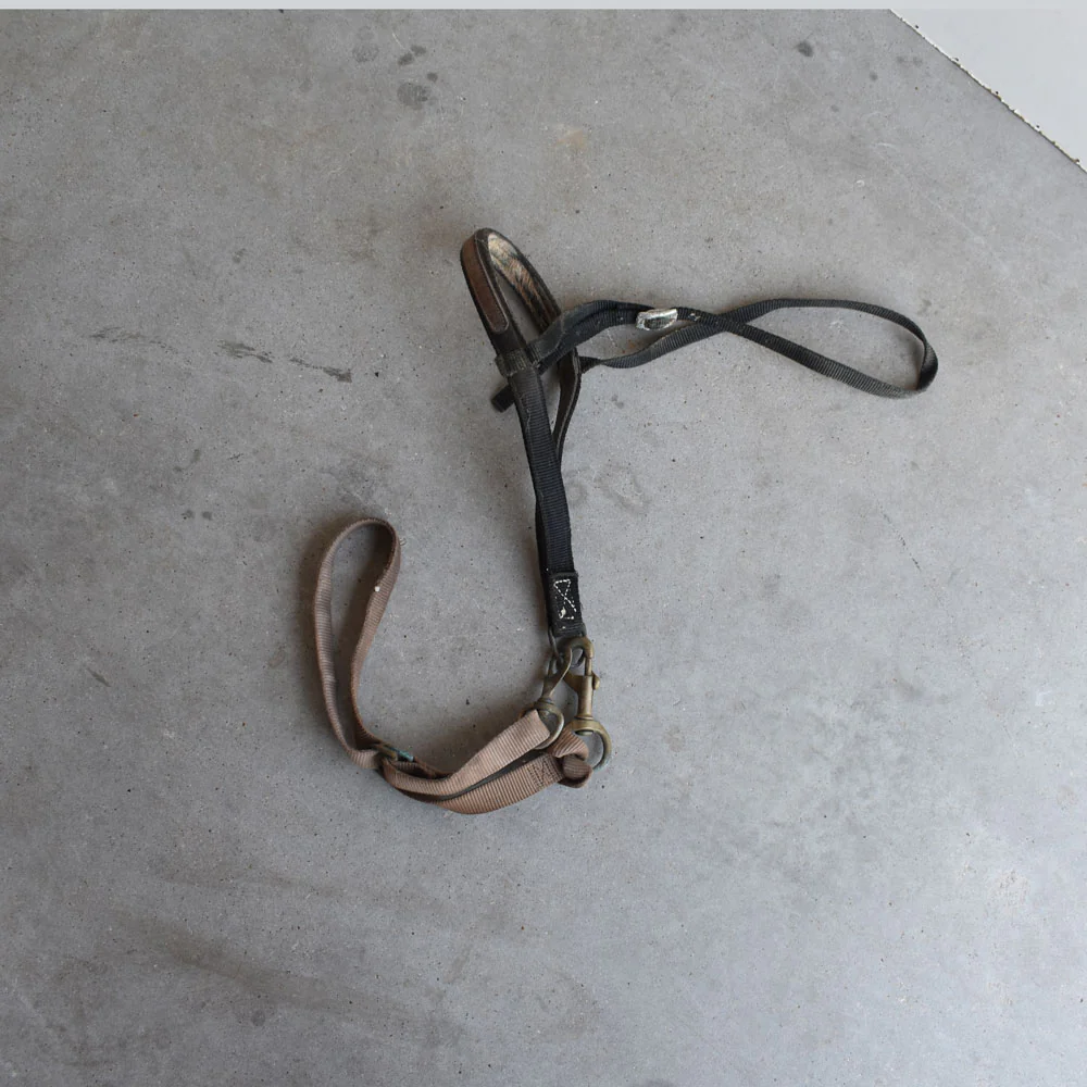 Used Noseband With Tie Down - Image 3