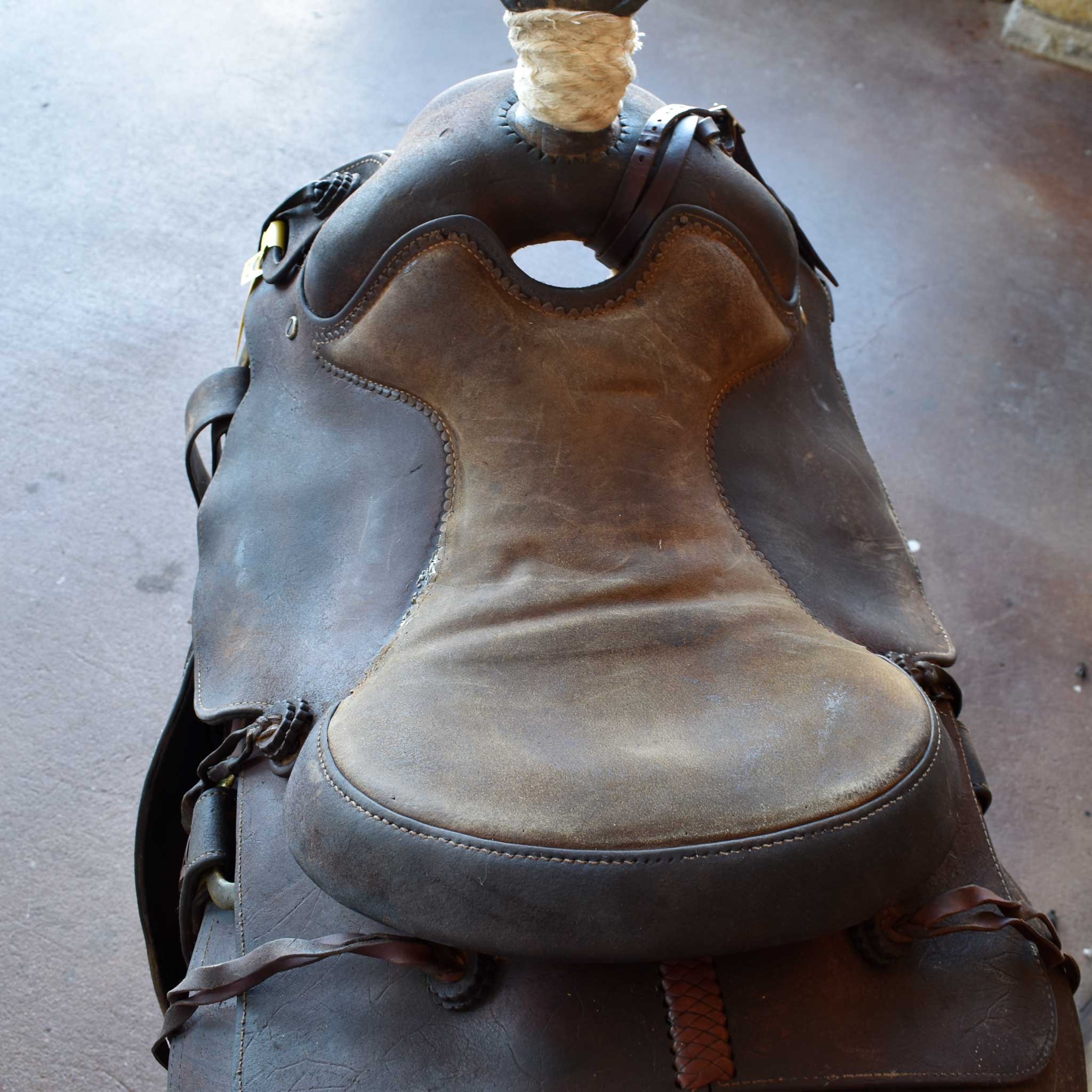 Used 15.5" Hissell Non-Rider Saddle - Image 11