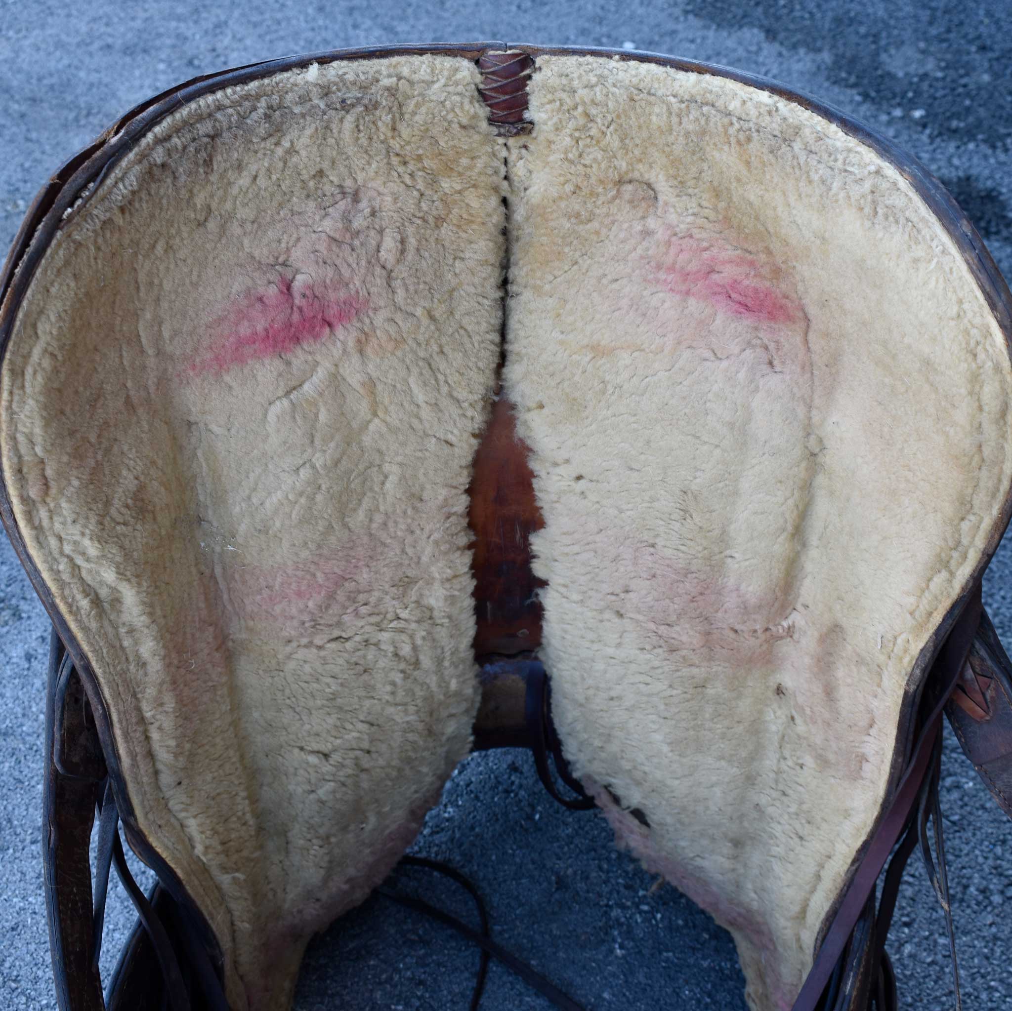 Used 15.5" Hissell Non-Rider Saddle - Image 13