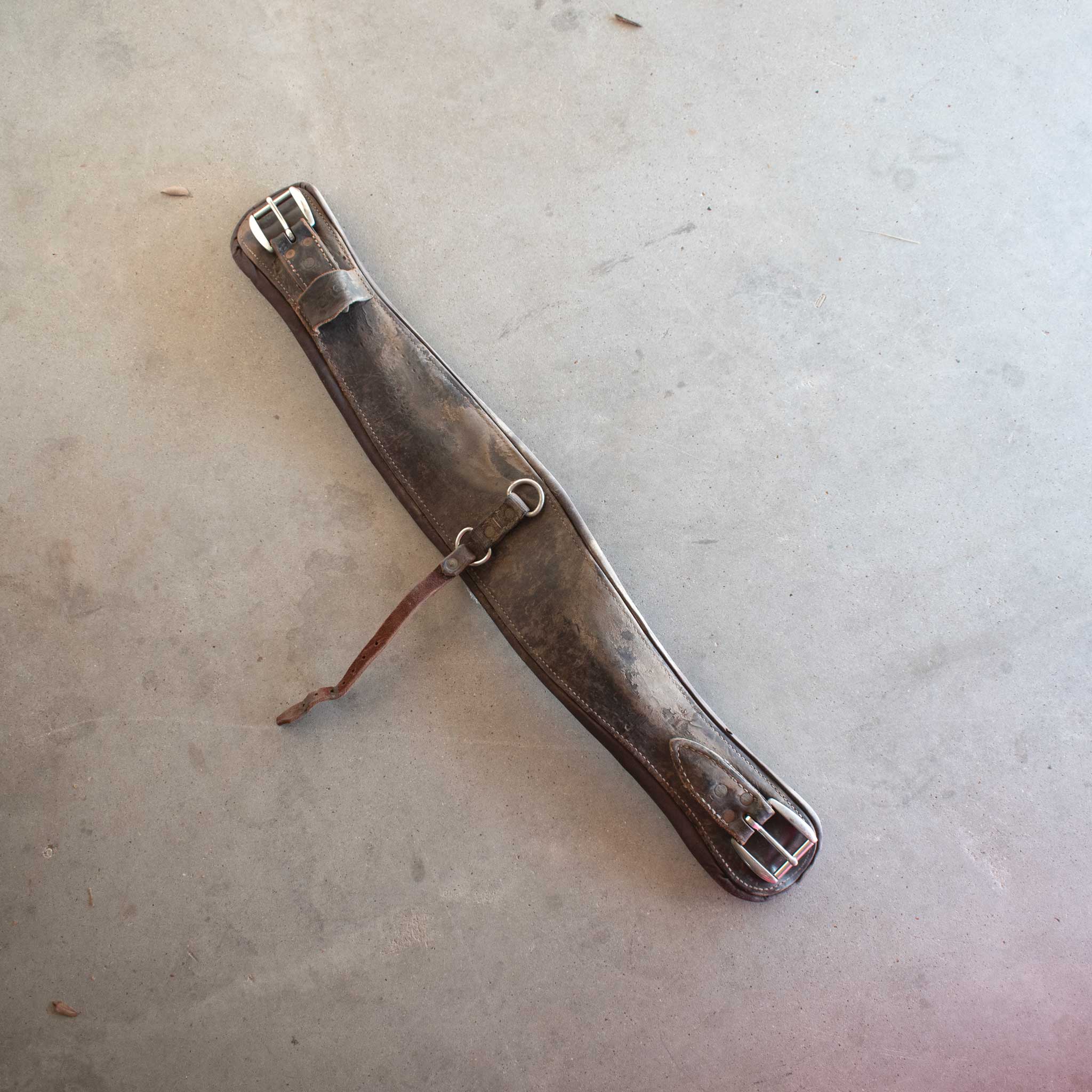 Used CHS 32" Cinch