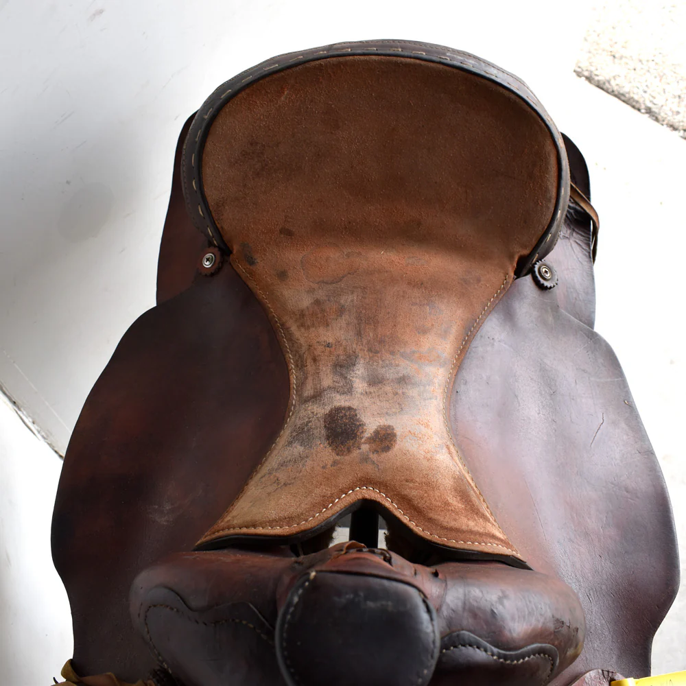 Used 16" Rider Saddle - Image 9