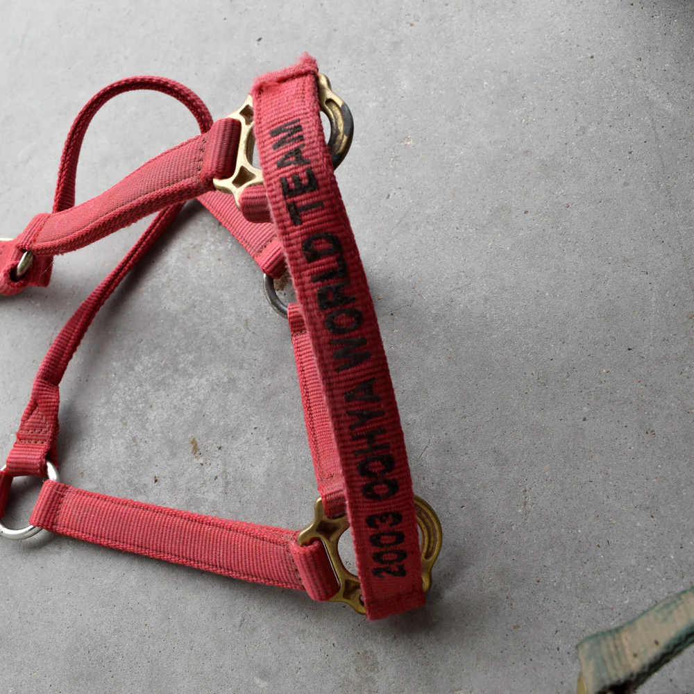 Used Assorted Halters Set Of 2 - Image 2
