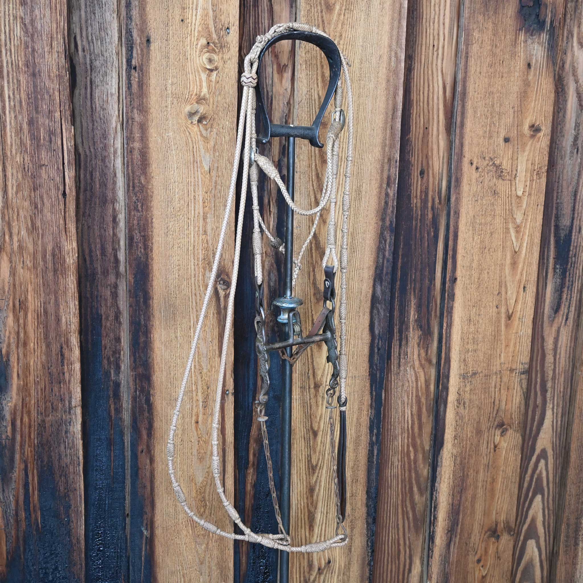 Vintage Braided Leather Bridle Rig w/Silver Plated Flower Conchos & a Kissingbird bit