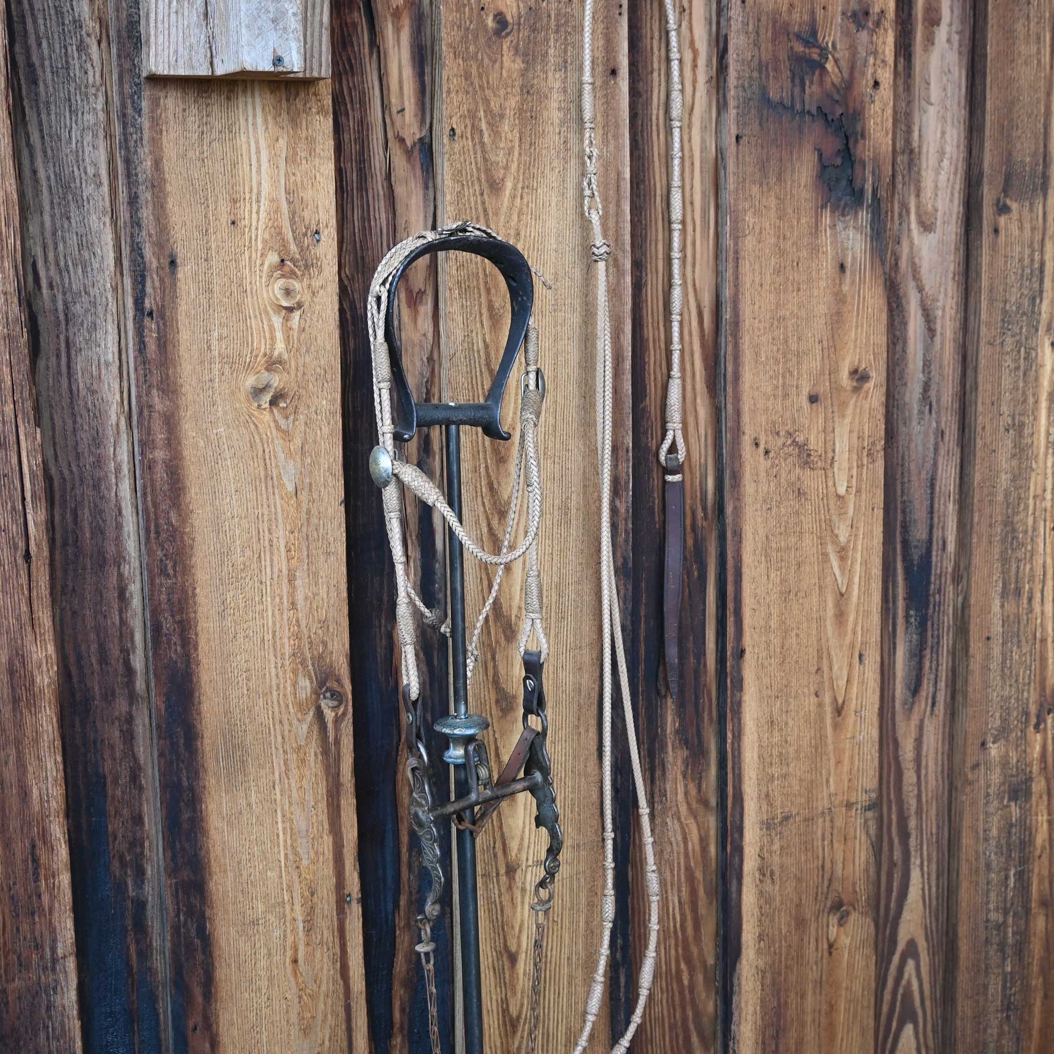 Vintage Braided Leather Bridle Rig w/Silver Plated Flower Conchos & a Kissingbird bit - Image 4