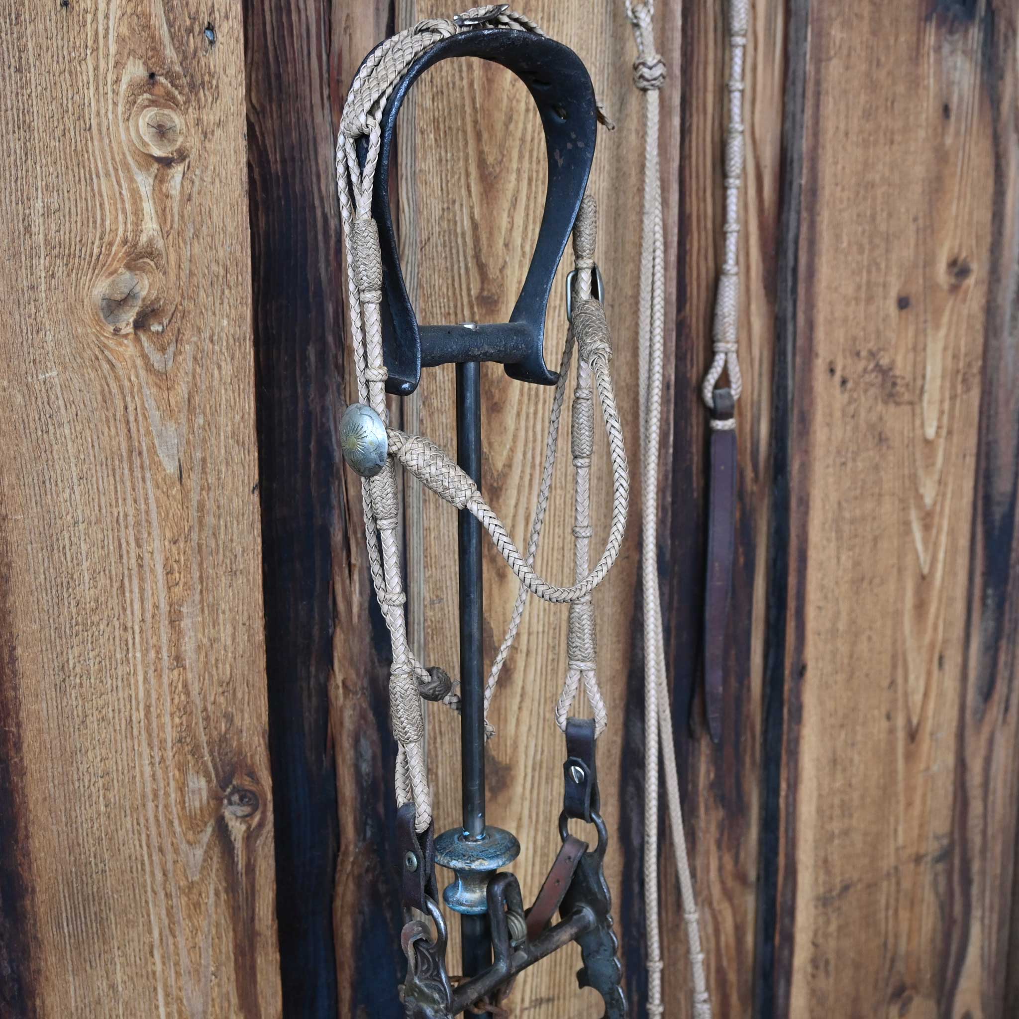 Vintage Braided Leather Bridle Rig w/Silver Plated Flower Conchos & a Kissingbird bit - Image 5