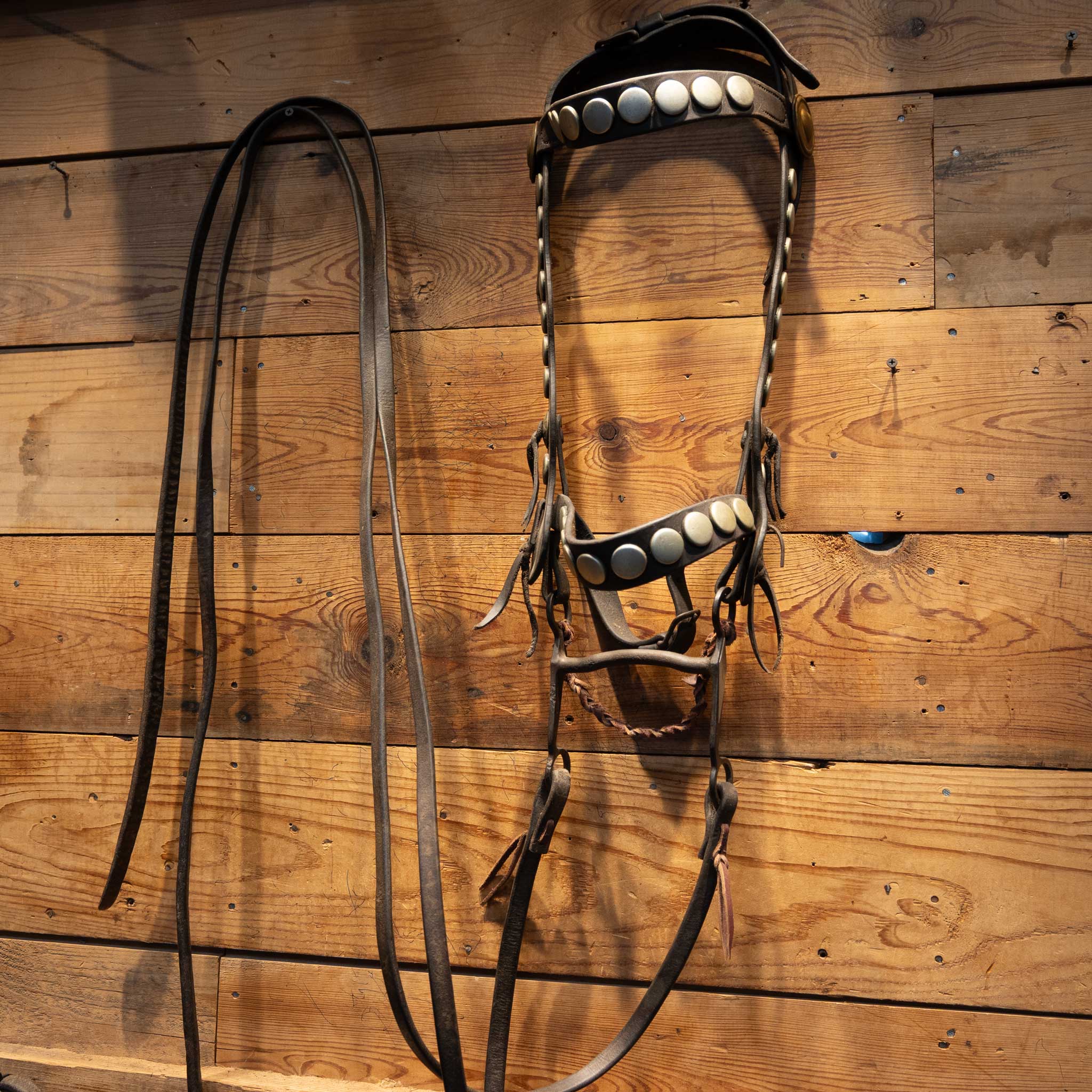 Stunning Collectible Full Bridle Rig with Large flat Silver Dots and Heart conchos a Breast collar - Image 4