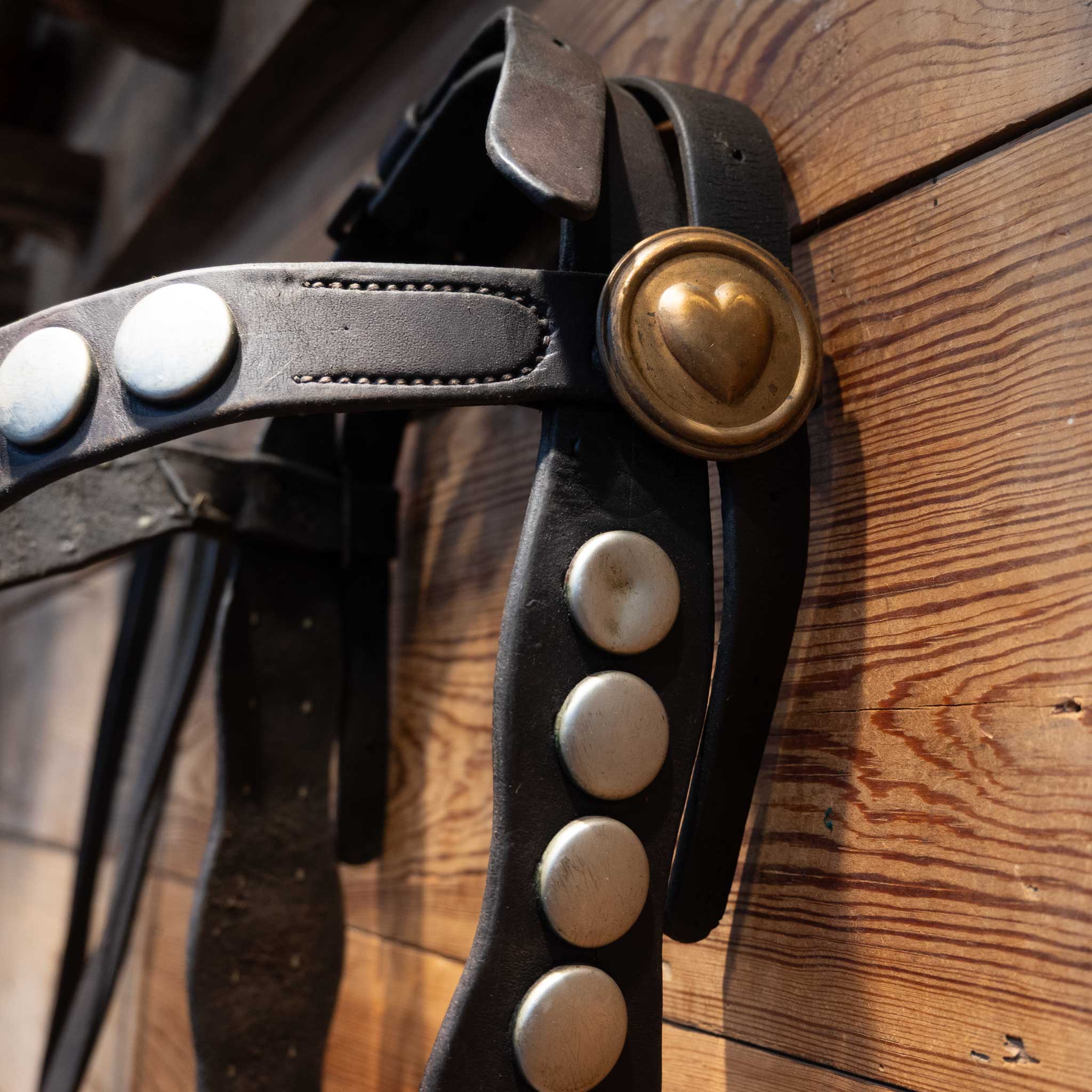 Stunning Collectible Full Bridle Rig with Large flat Silver Dots and Heart conchos a Breast collar - Image 5