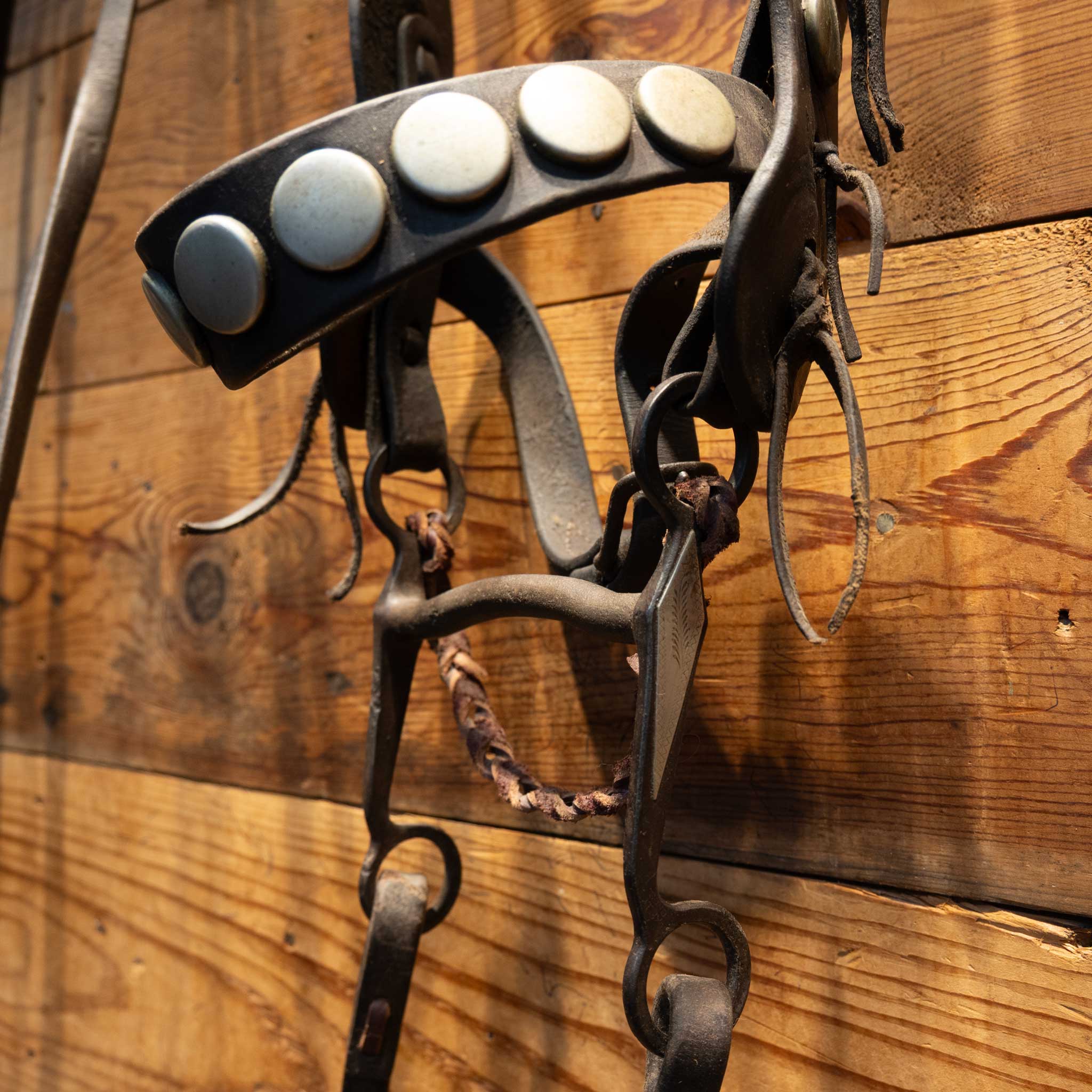 Stunning Collectible Full Bridle Rig with Large flat Silver Dots and Heart conchos a Breast collar - Image 7