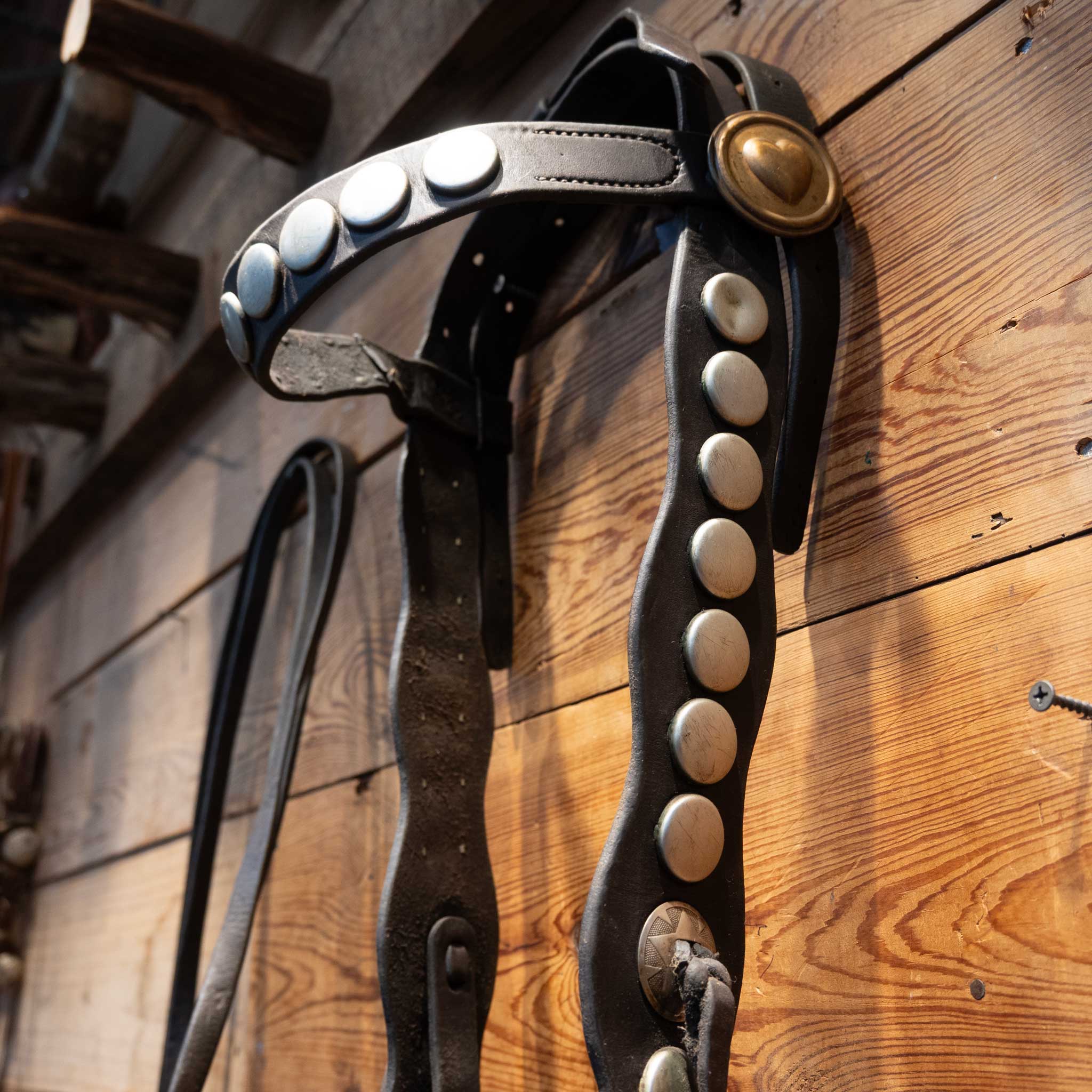 Stunning Collectible Full Bridle Rig with Large flat Silver Dots and Heart conchos a Breast collar - Image 8