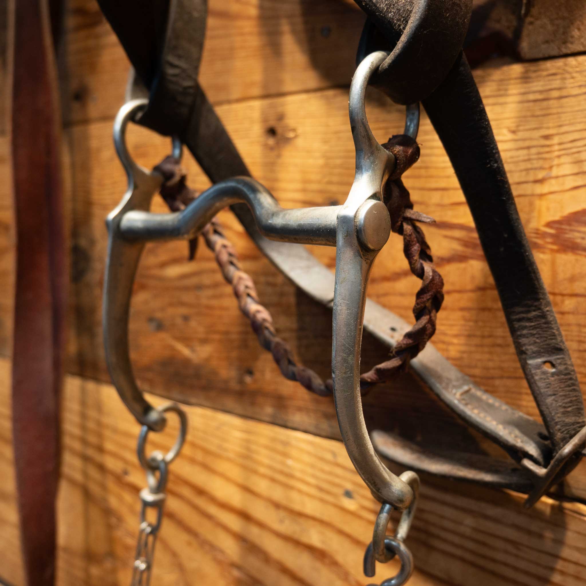 Vintage Nickel Dotted Cavesson & Horse Bridle Rig - Image 3