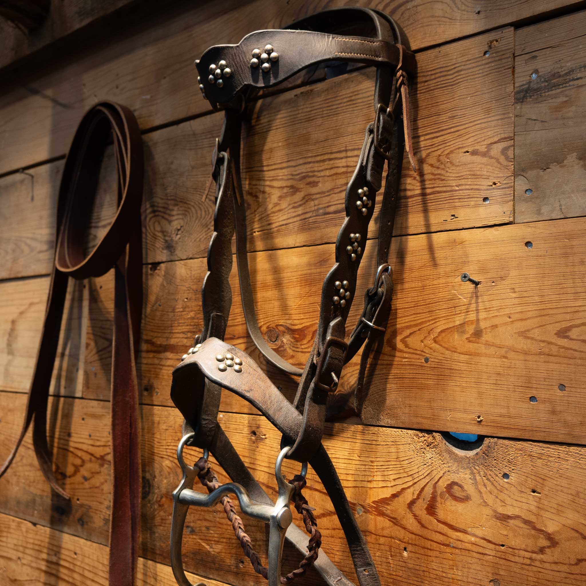 Vintage Nickel Dotted Cavesson & Horse Bridle Rig - Image 4