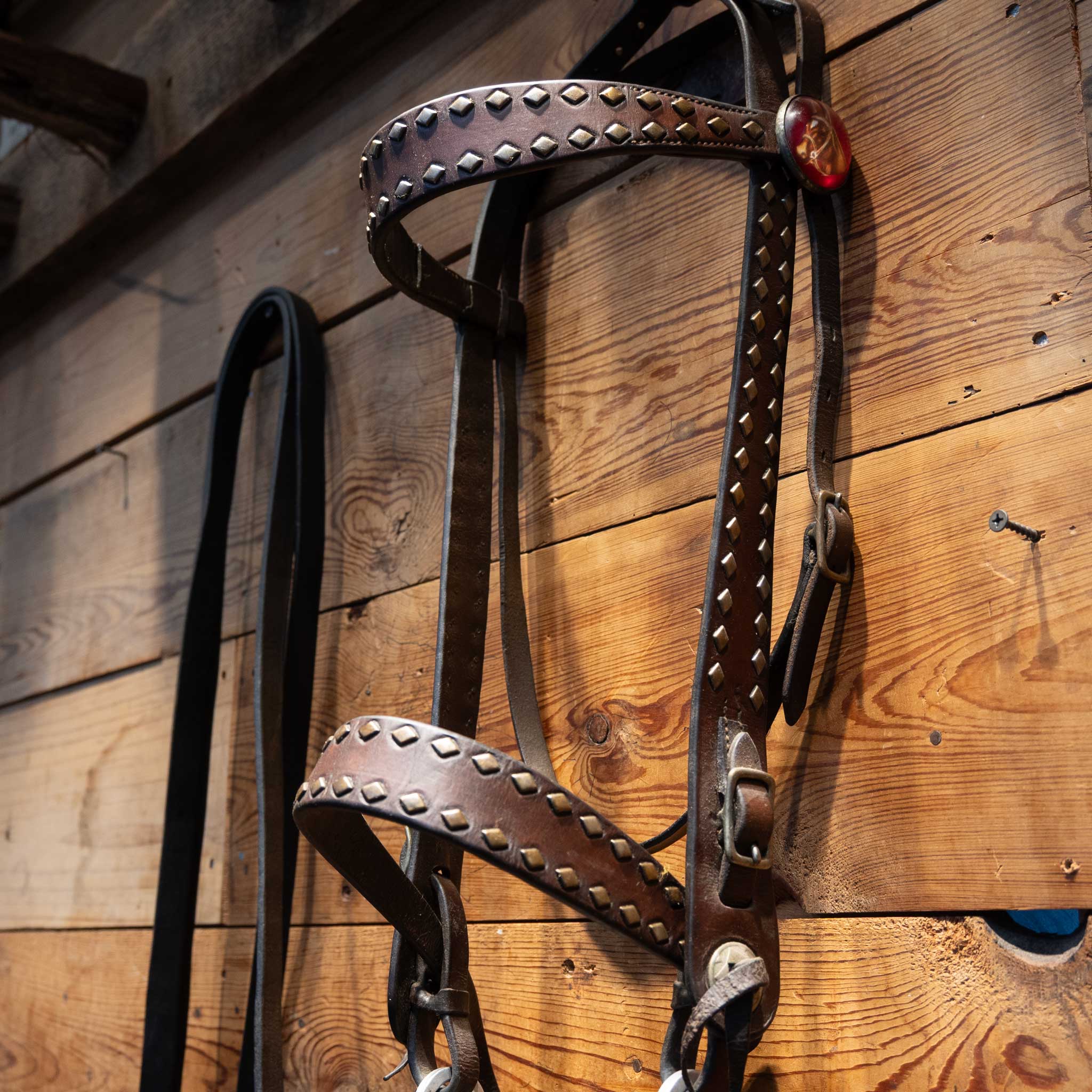 Vintage Bridle Accented w/ Copper Diamond Dots & Red Concho buttons - Image 2