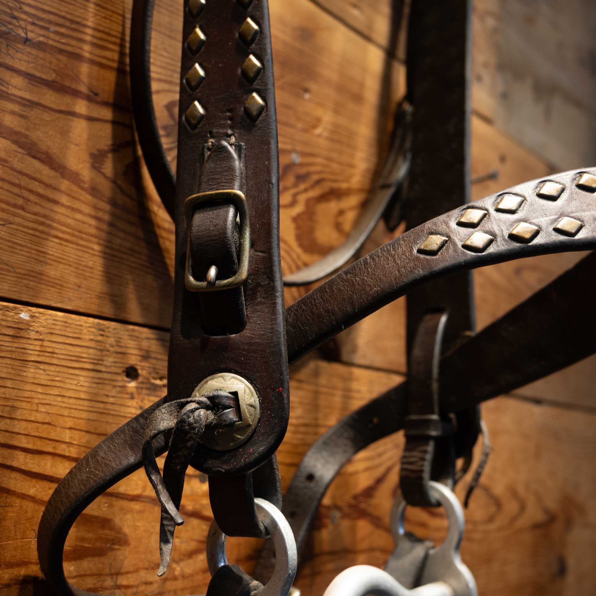 Vintage Bridle Accented w/ Copper Diamond Dots & Red Concho buttons - Image 3
