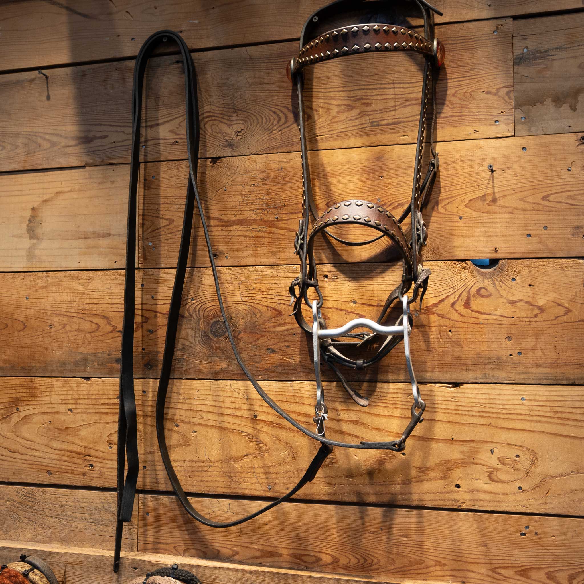 Vintage Bridle Accented w/ Copper Diamond Dots & Red Concho buttons - Image 4