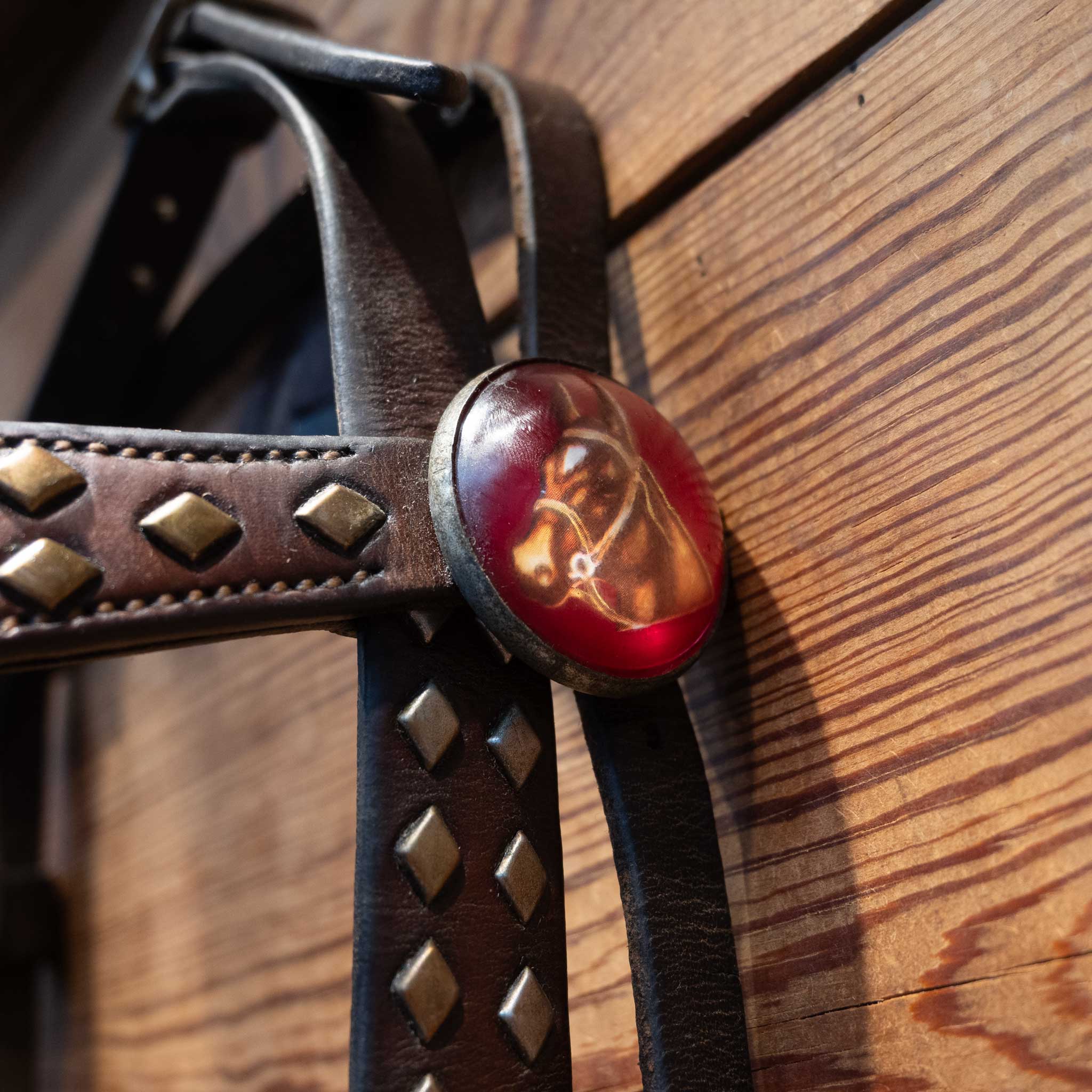 Vintage Bridle Accented w/ Copper Diamond Dots & Red Concho buttons - Image 5