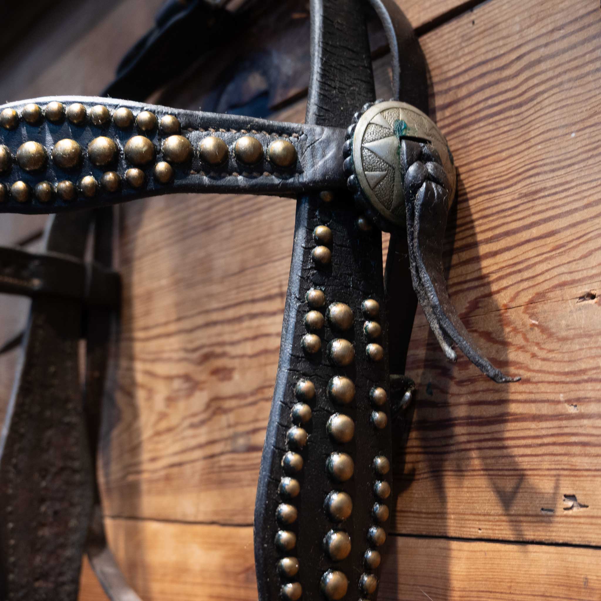 Stunning Vintage Dotted Bridle Rig w/Cavesson & Romel Reins w/ Sterling Silver - Image 3