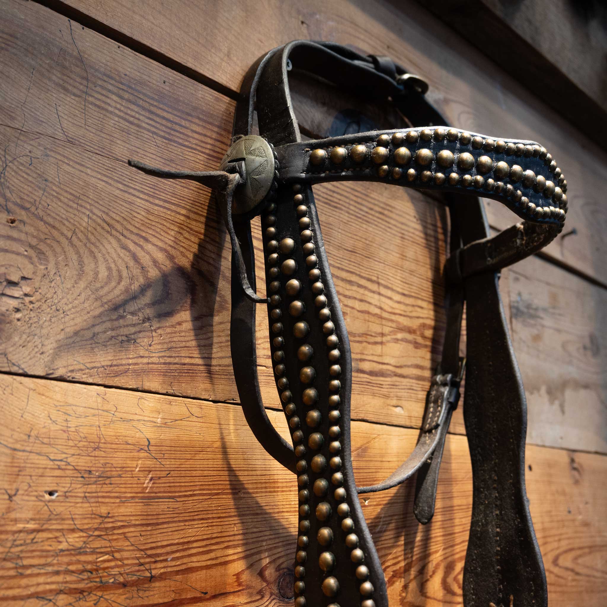 Stunning Vintage Dotted Bridle Rig w/Cavesson & Romel Reins w/ Sterling Silver - Image 4