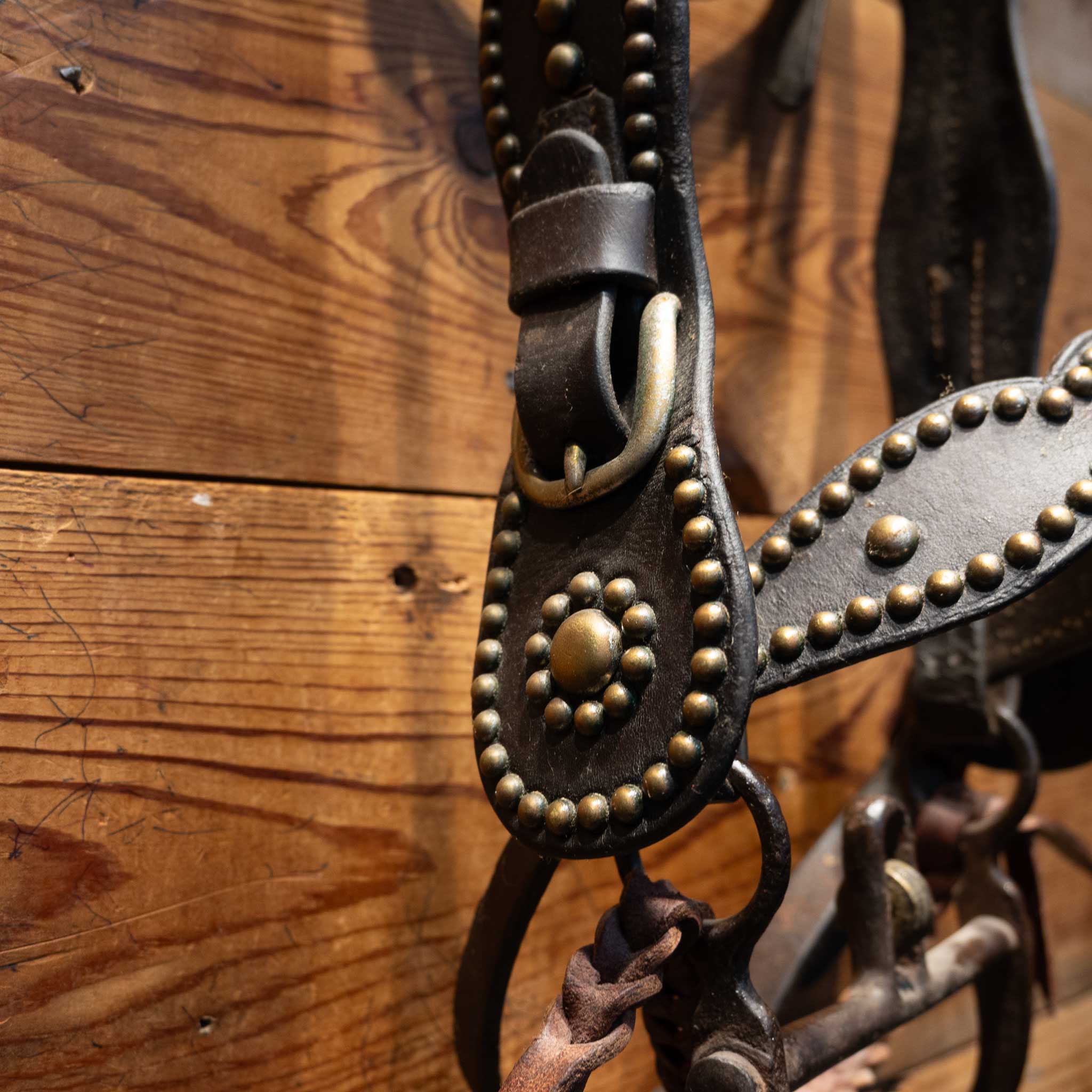 Stunning Vintage Dotted Bridle Rig w/Cavesson & Romel Reins w/ Sterling Silver - Image 5