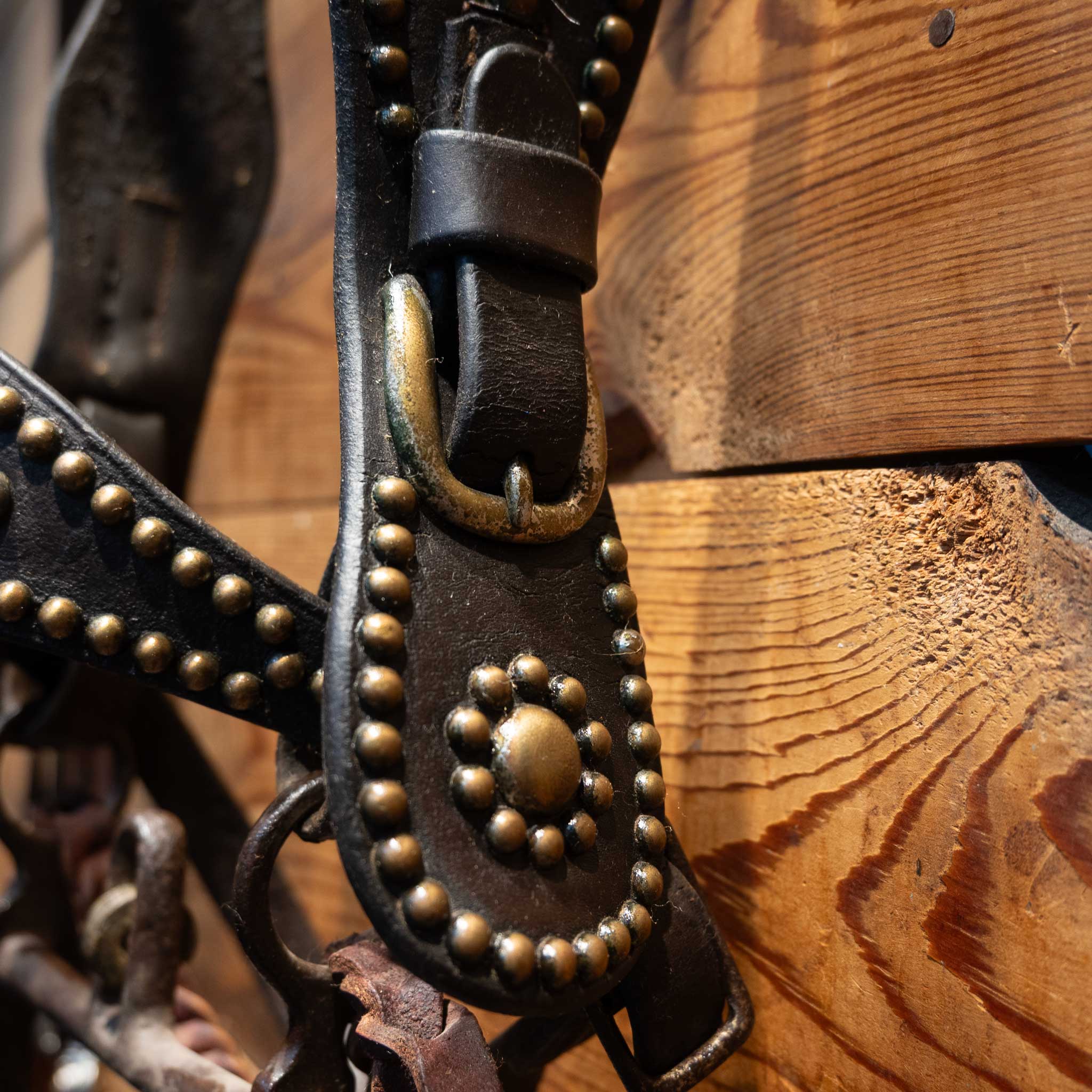 Stunning Vintage Dotted Bridle Rig w/Cavesson & Romel Reins w/ Sterling Silver - Image 6