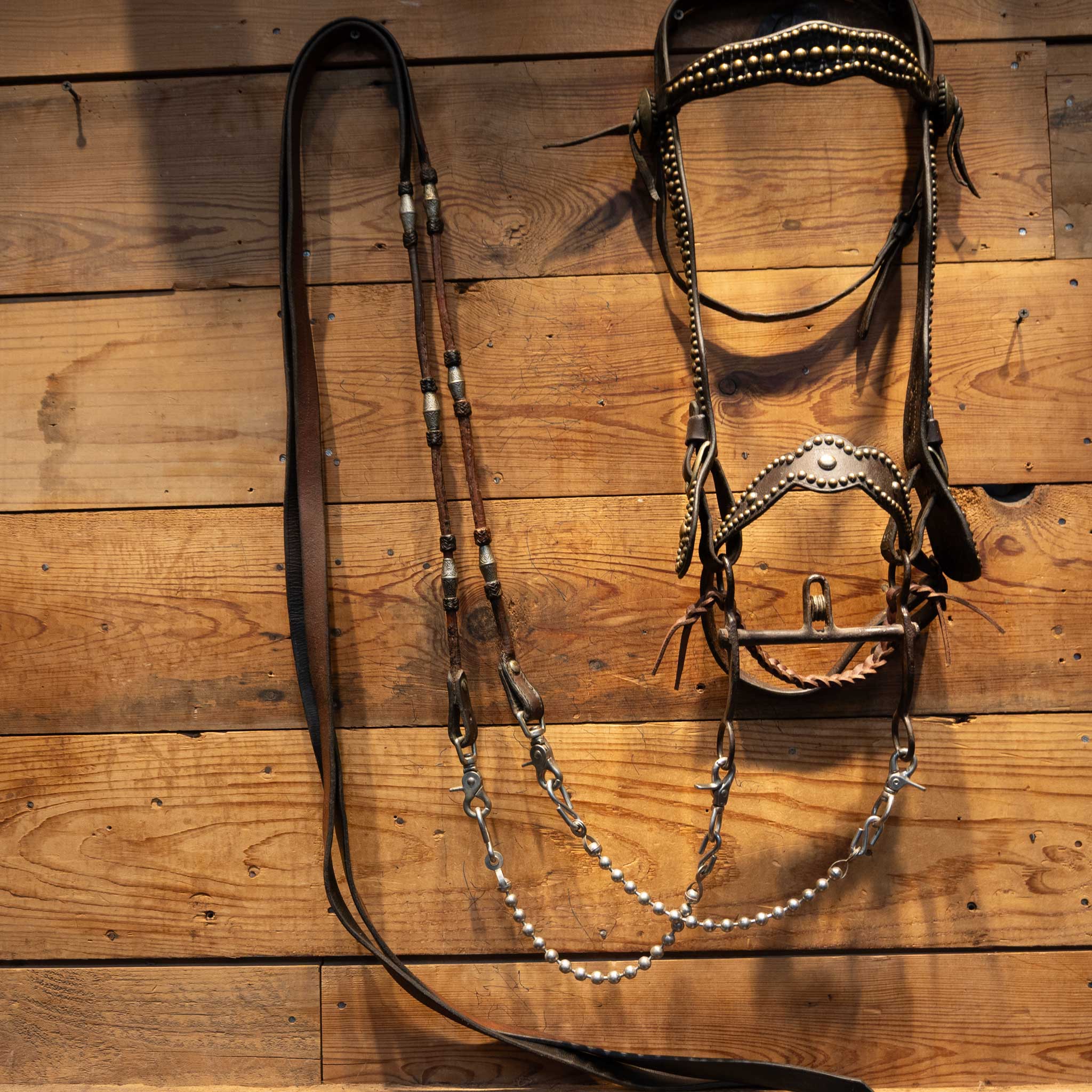 Stunning Vintage Dotted Bridle Rig w/Cavesson & Romel Reins w/ Sterling Silver - Image 7