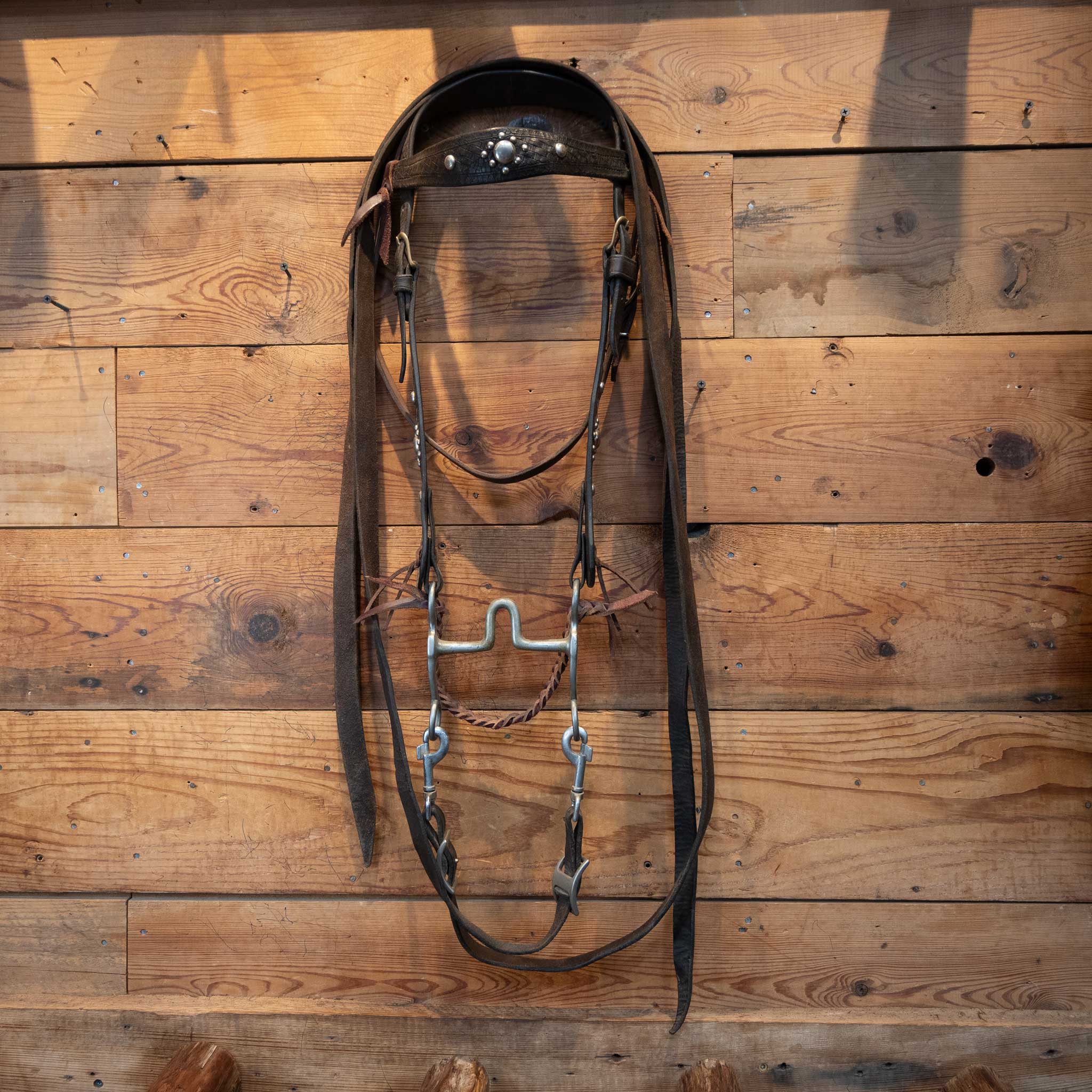 Vintage Tooled Silver Dotted Bridle Rig - Image 2