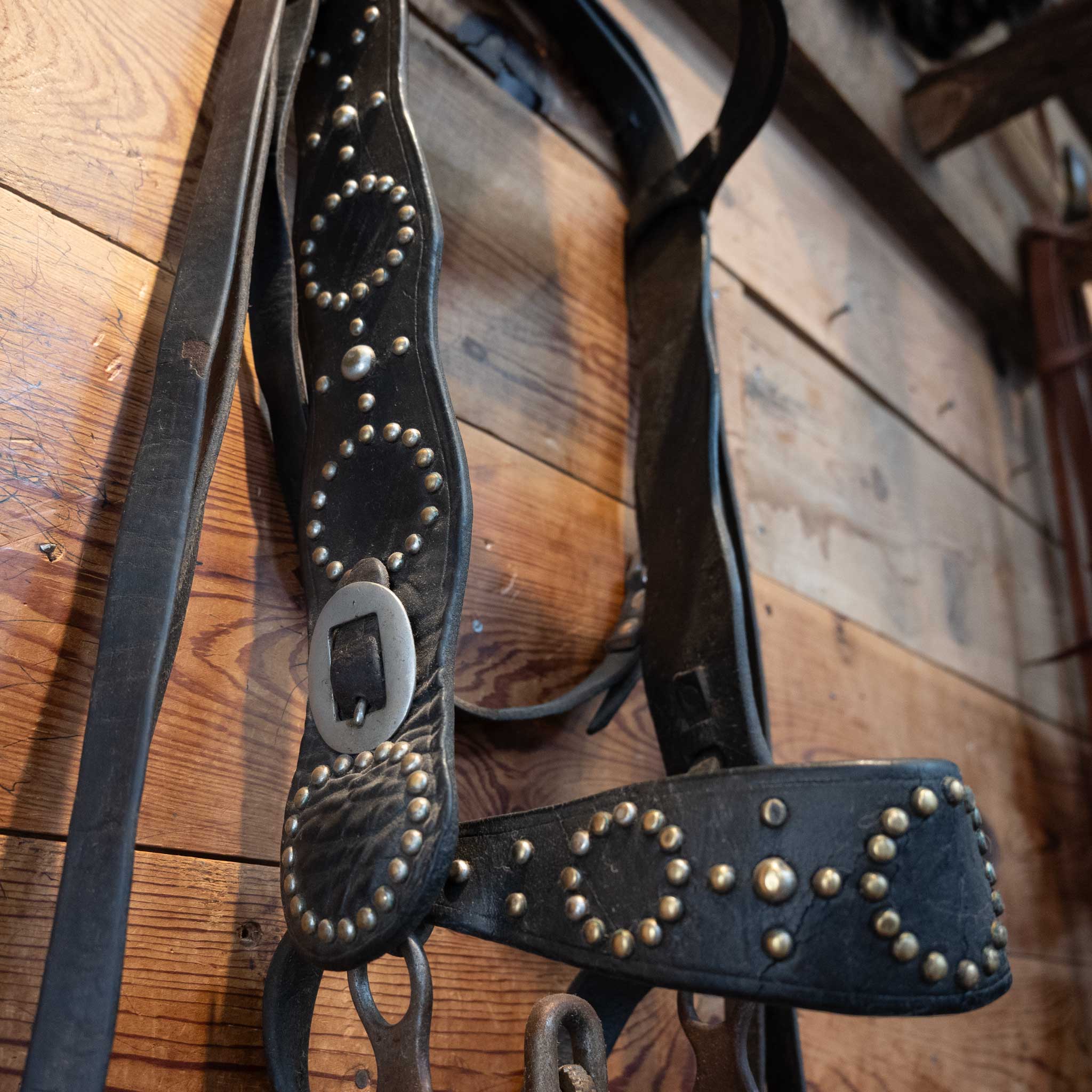 Vintage Brass and Silver Dotted Bridle Rig w/Kissingbird Bit. - Image 3
