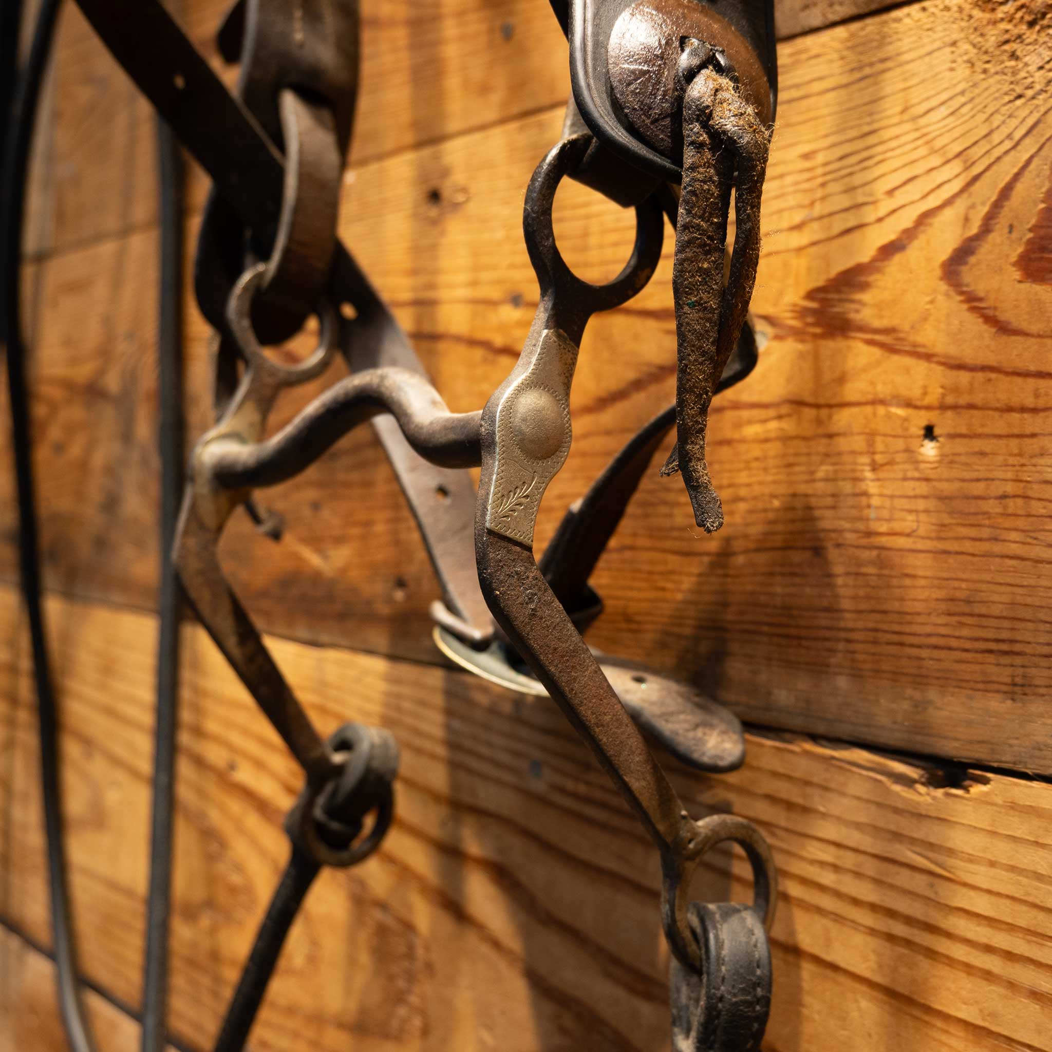 Vintage Old Western Bridle Rig with Silver Nickel Dots - Image 3