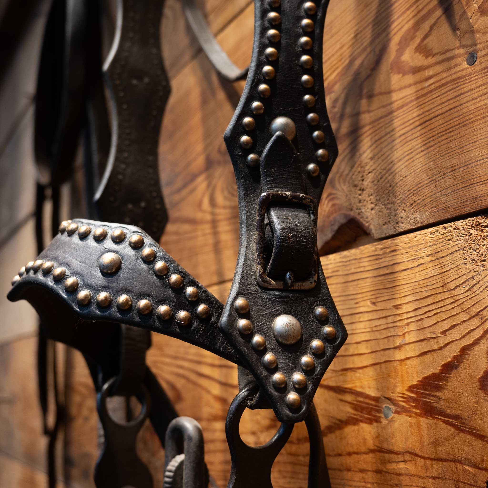 1940's Vintage Dotted Bridle/Cavesson Rig w/Buerman Bit - Image 2