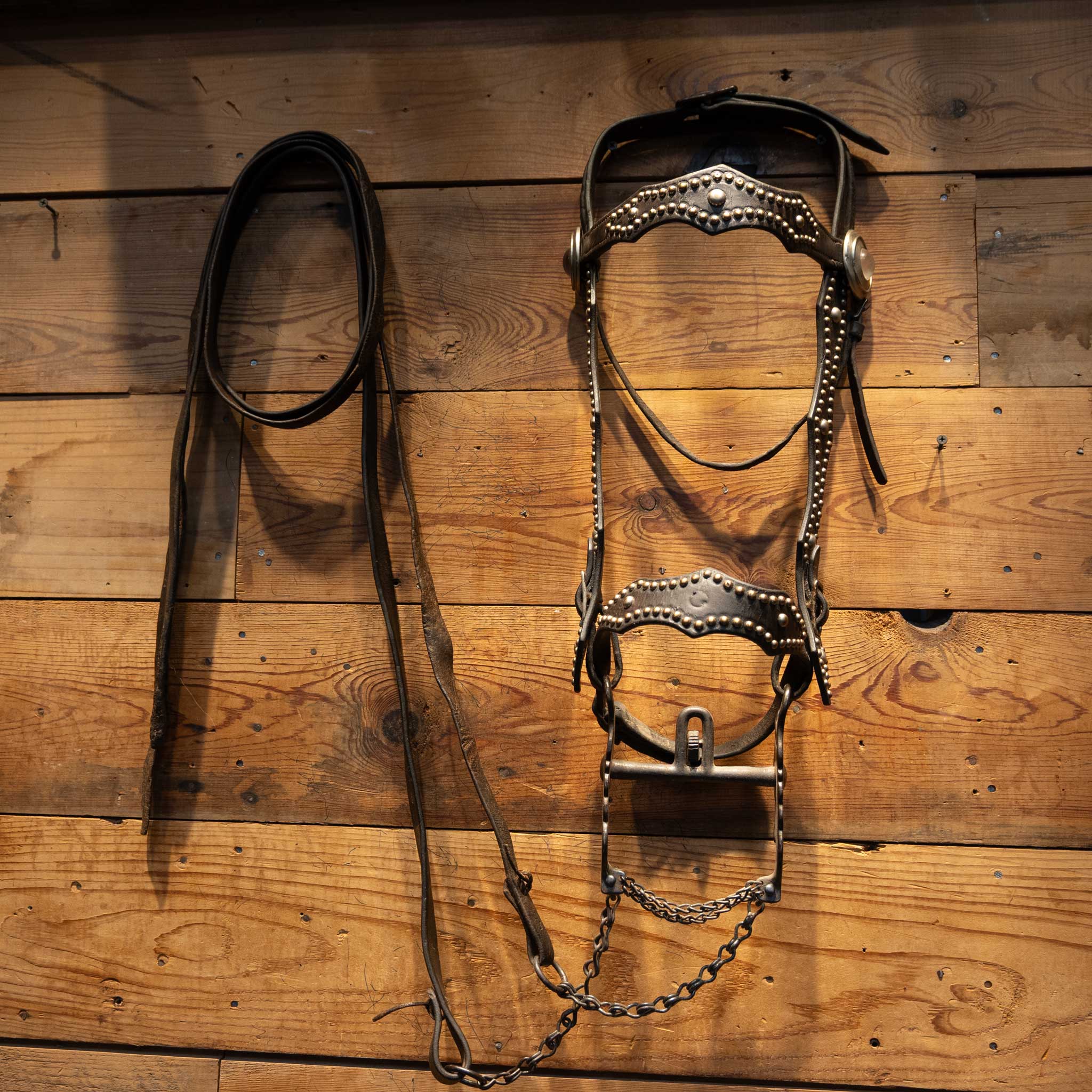 1940's Vintage Dotted Bridle/Cavesson Rig w/Buerman Bit - Image 4