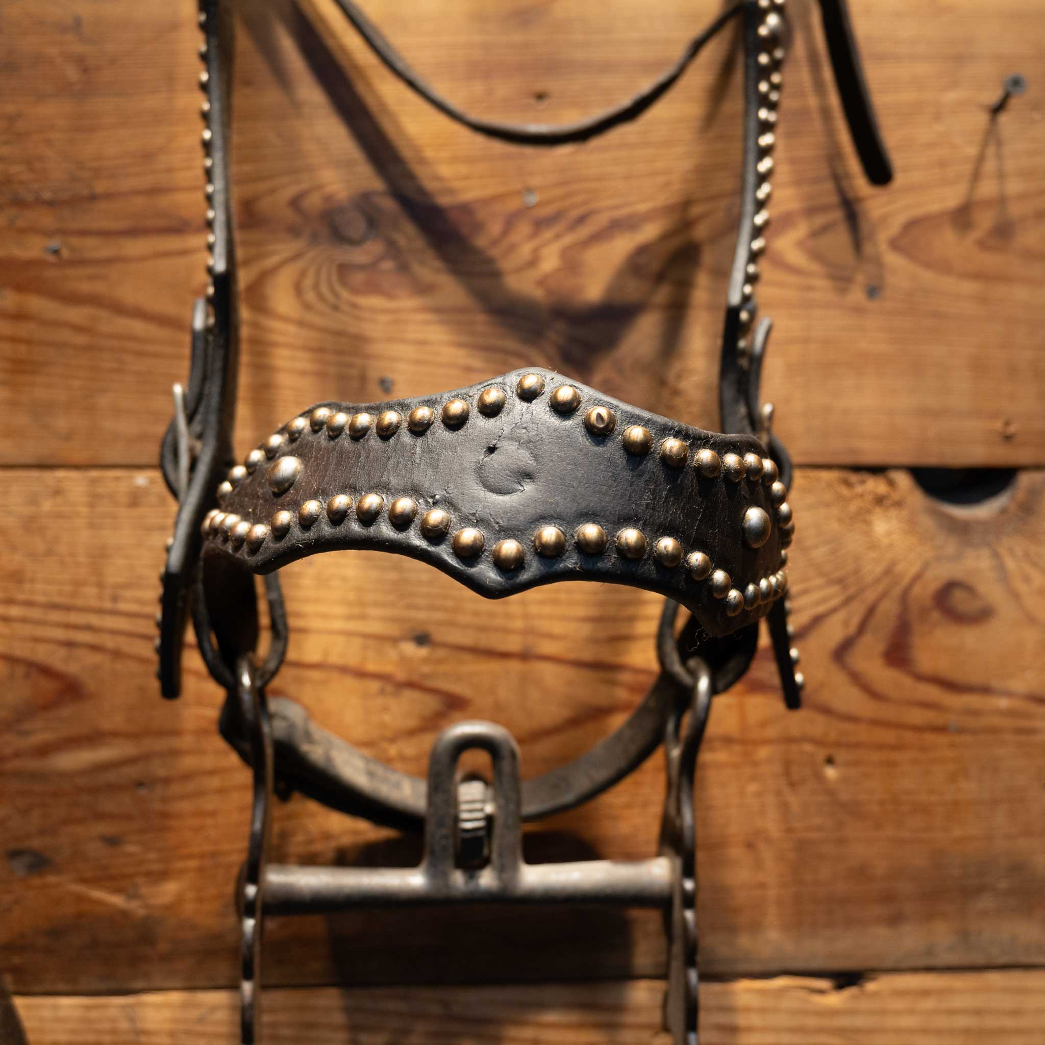 1940's Vintage Dotted Bridle/Cavesson Rig w/Buerman Bit - Image 6