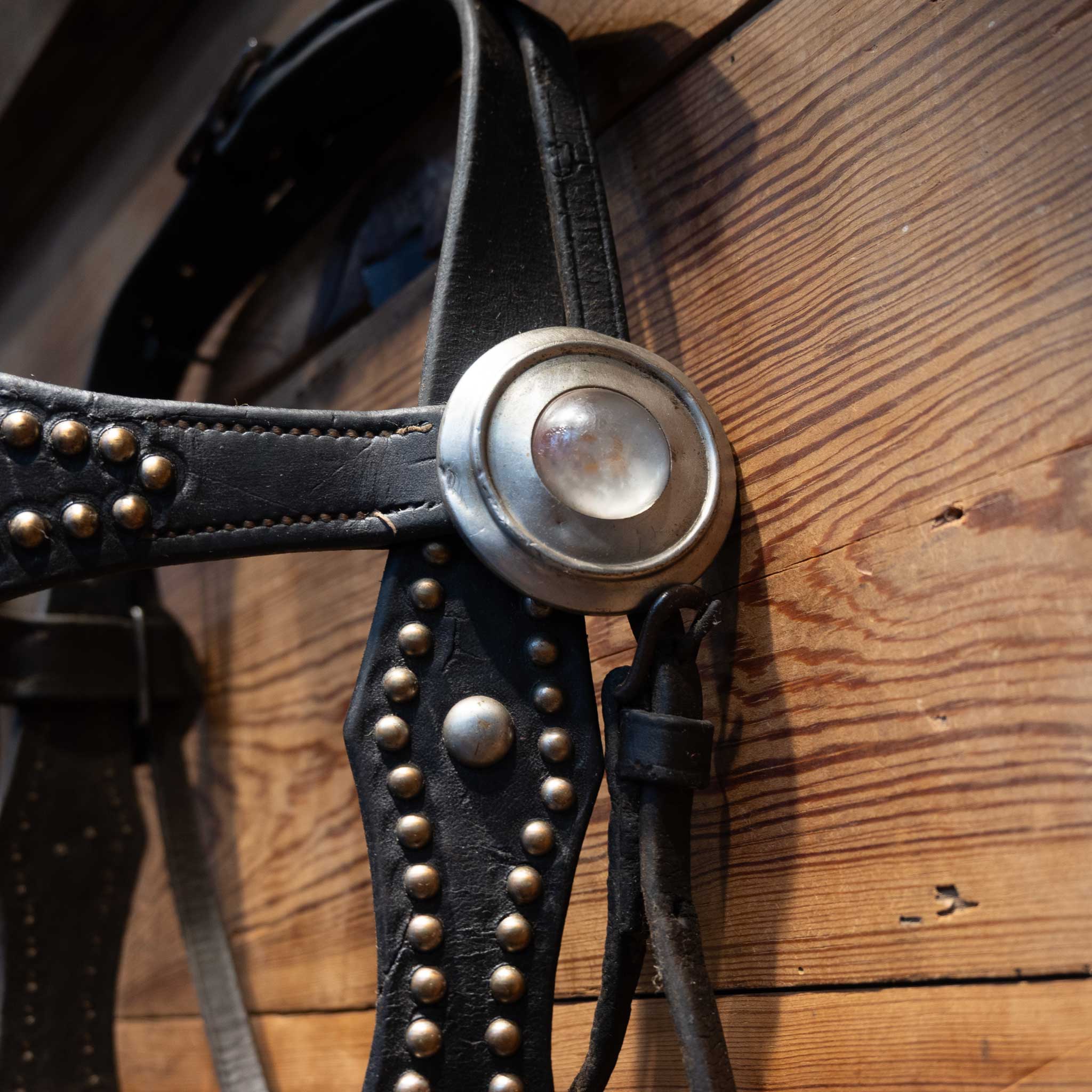 1940's Vintage Dotted Bridle/Cavesson Rig w/Buerman Bit - Image 7