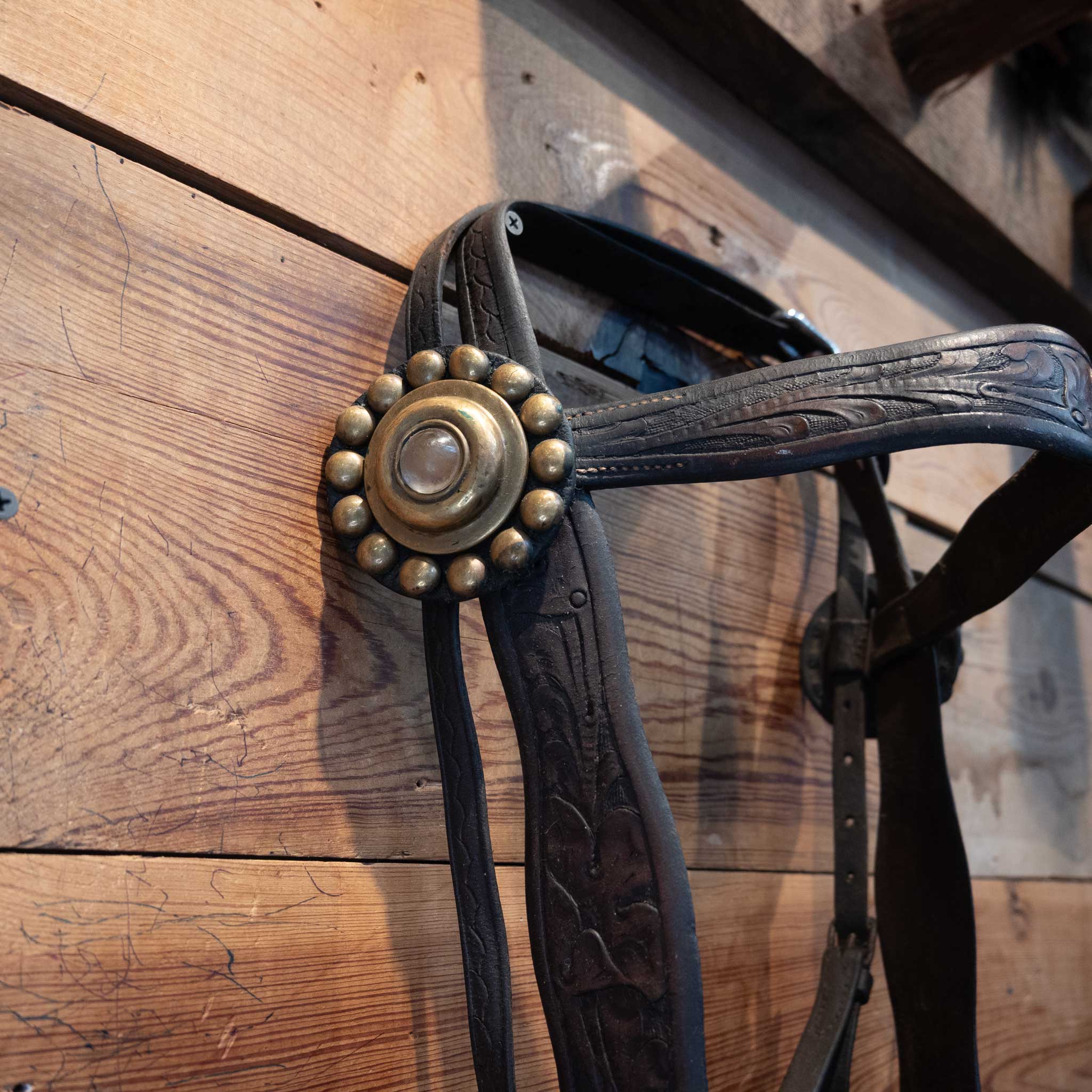 Vintage Bridle with Brass & Silver Accent w/ an Arrow on Shank - Image 2