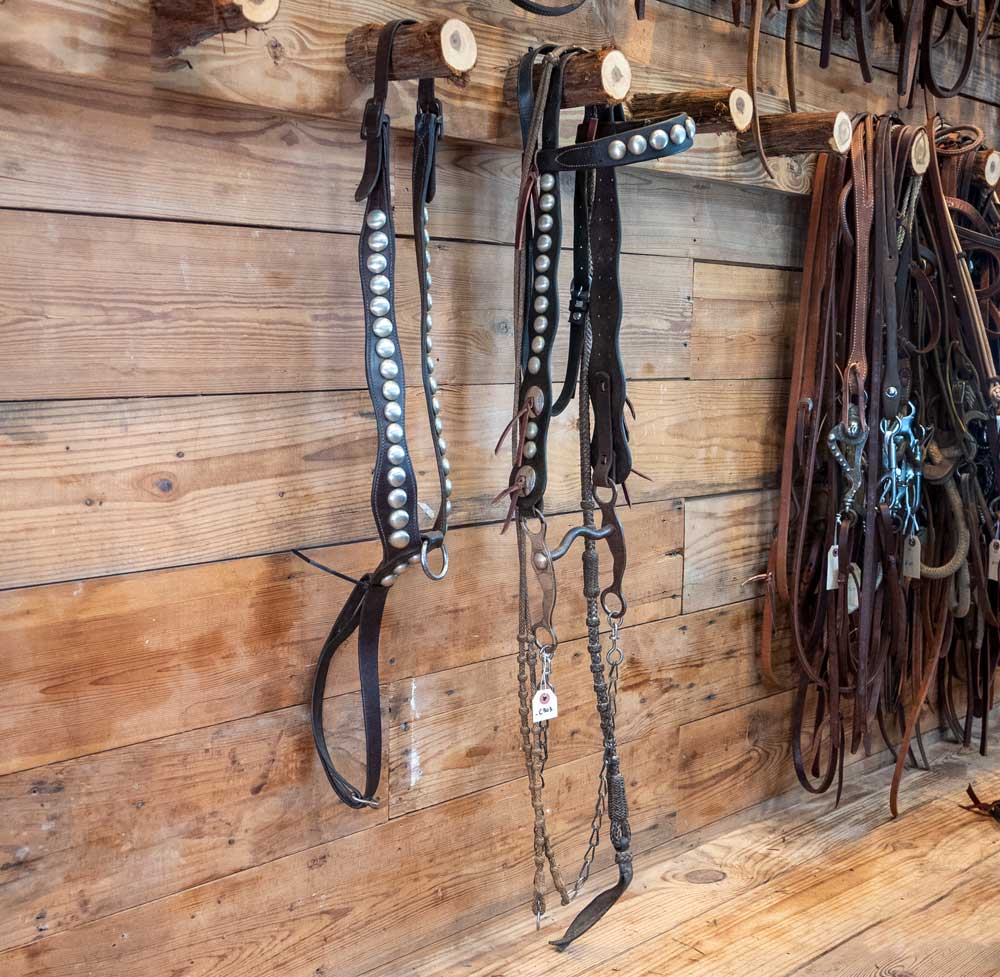 Vintage Studded Bridle Rig and Breast Collar Set - Image 2