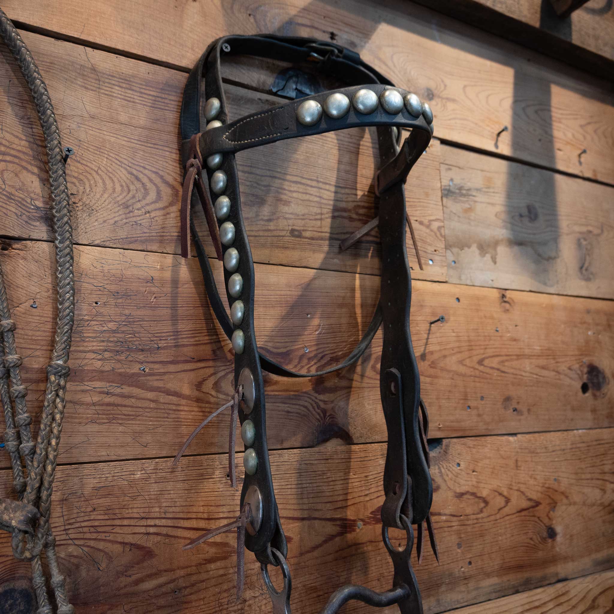 Vintage Studded Bridle Rig and Breast Collar Set - Image 4