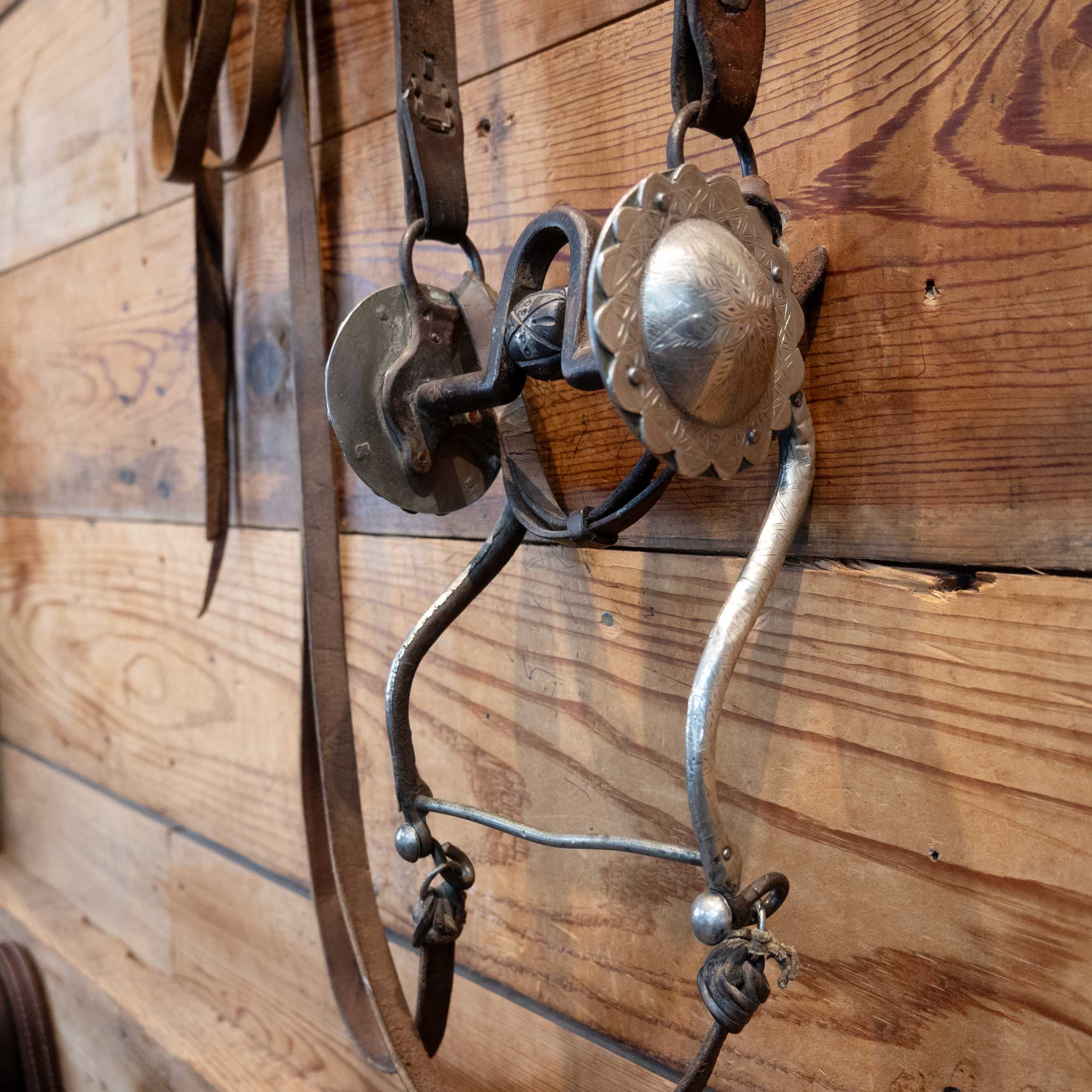 Vintage Chief Rojas Native Indian w/ Conchos Bridle Rig - Image 5