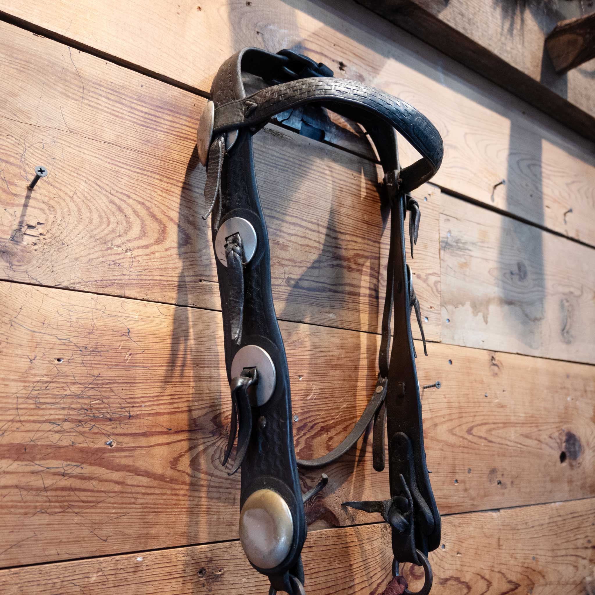 HP Shipley Silver Nickel Concho Bridle Set - Image 4