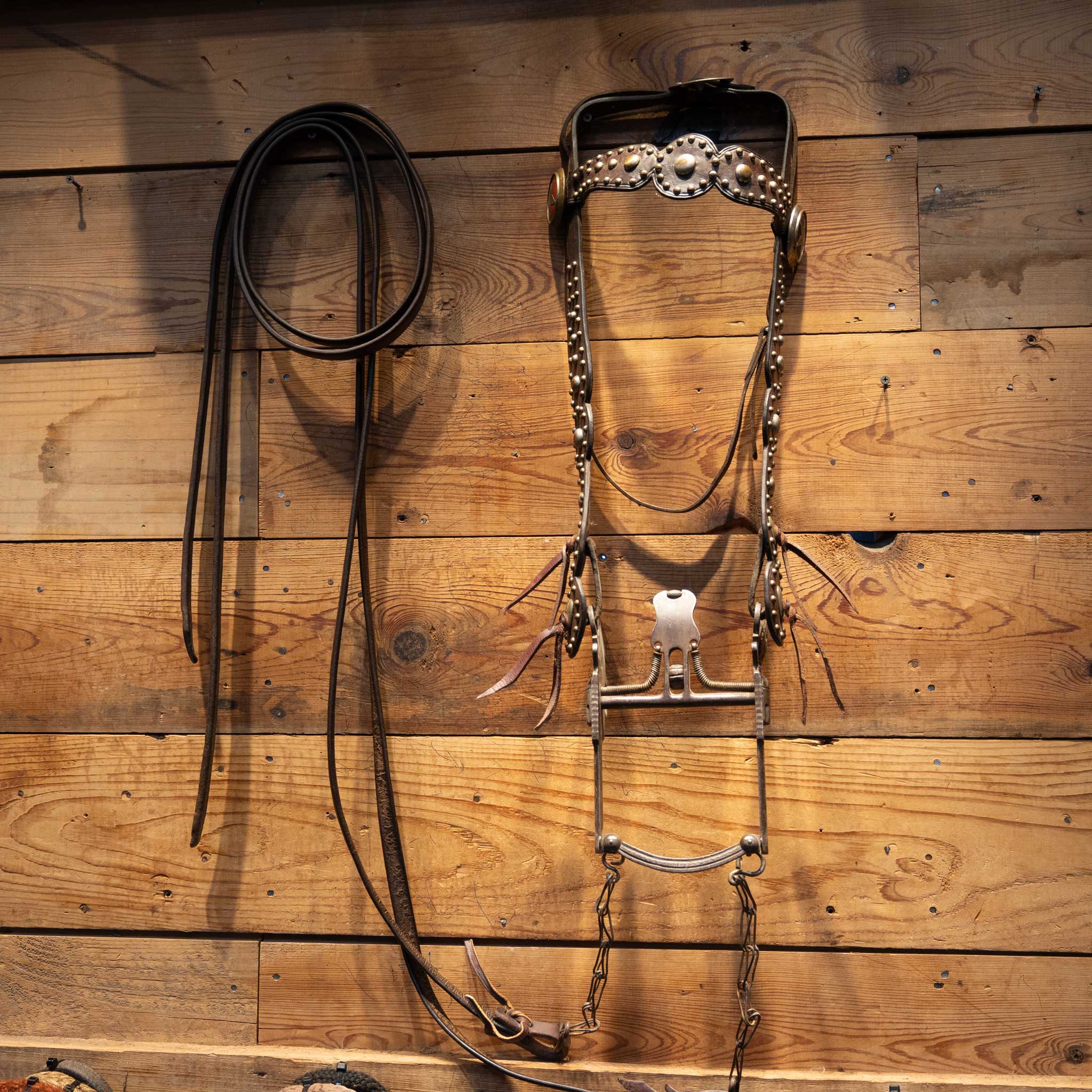 Vintage Pistol Shank Spade Bit Bridle Rig - Image 3