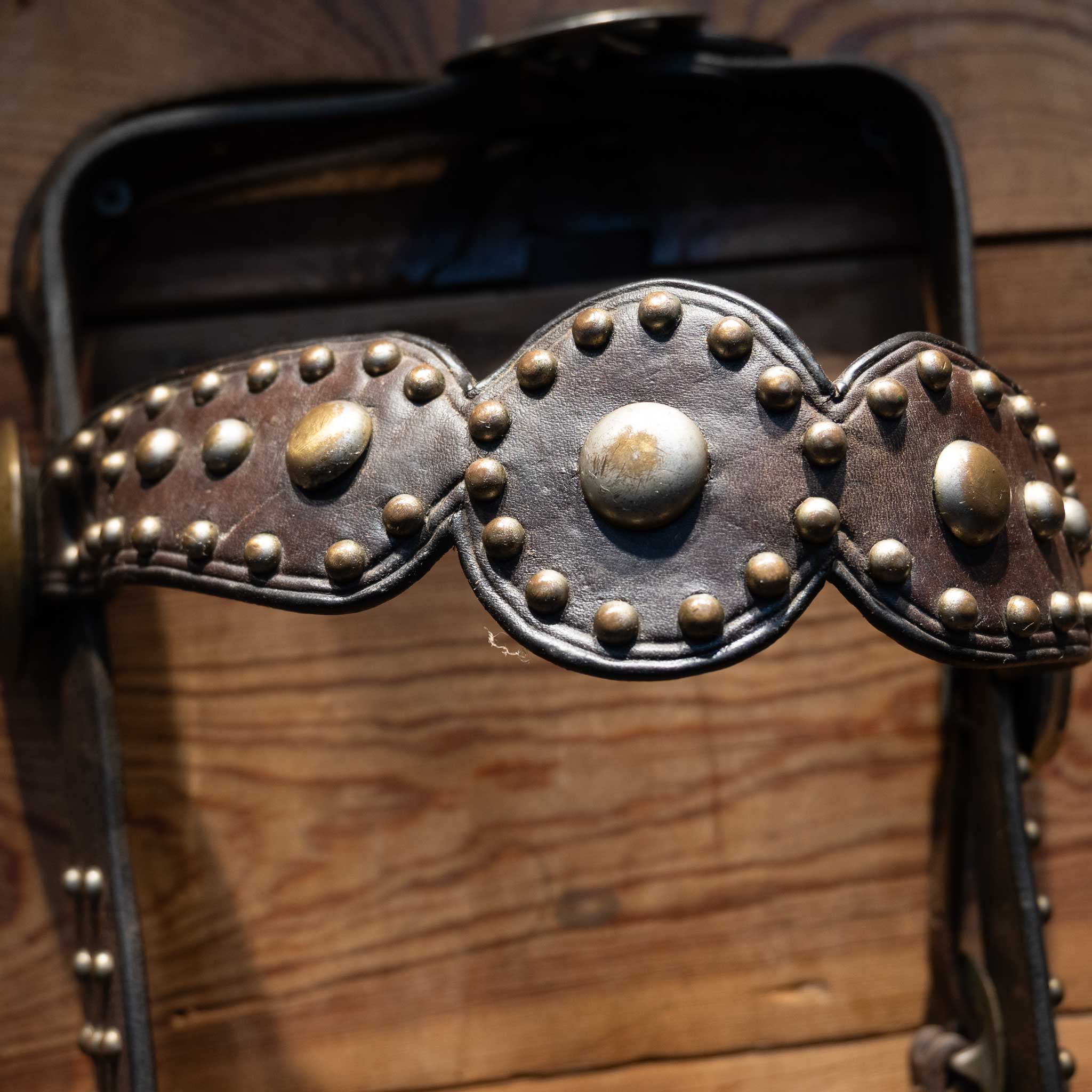 Vintage Pistol Shank Spade Bit Bridle Rig - Image 4