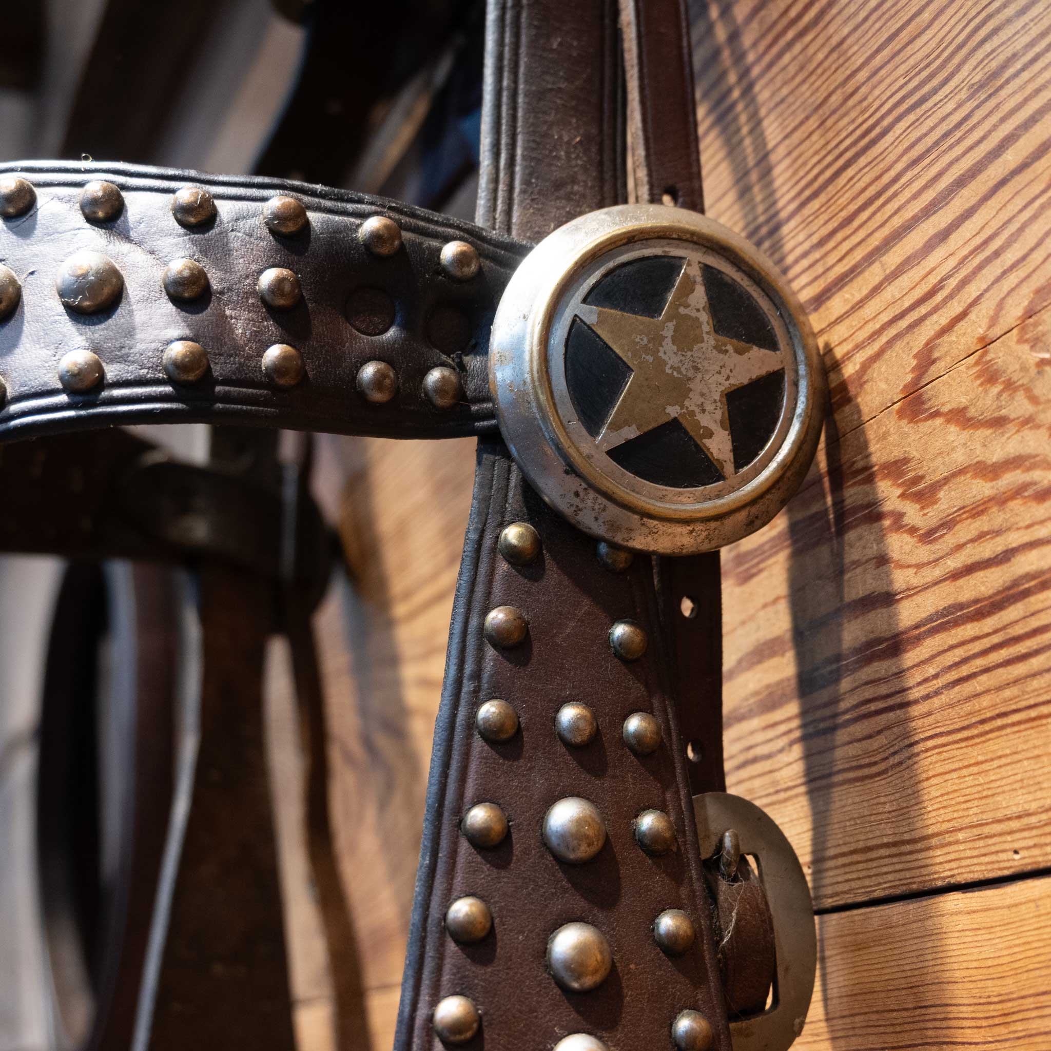 Vintage Pistol Shank Spade Bit Bridle Rig - Image 6