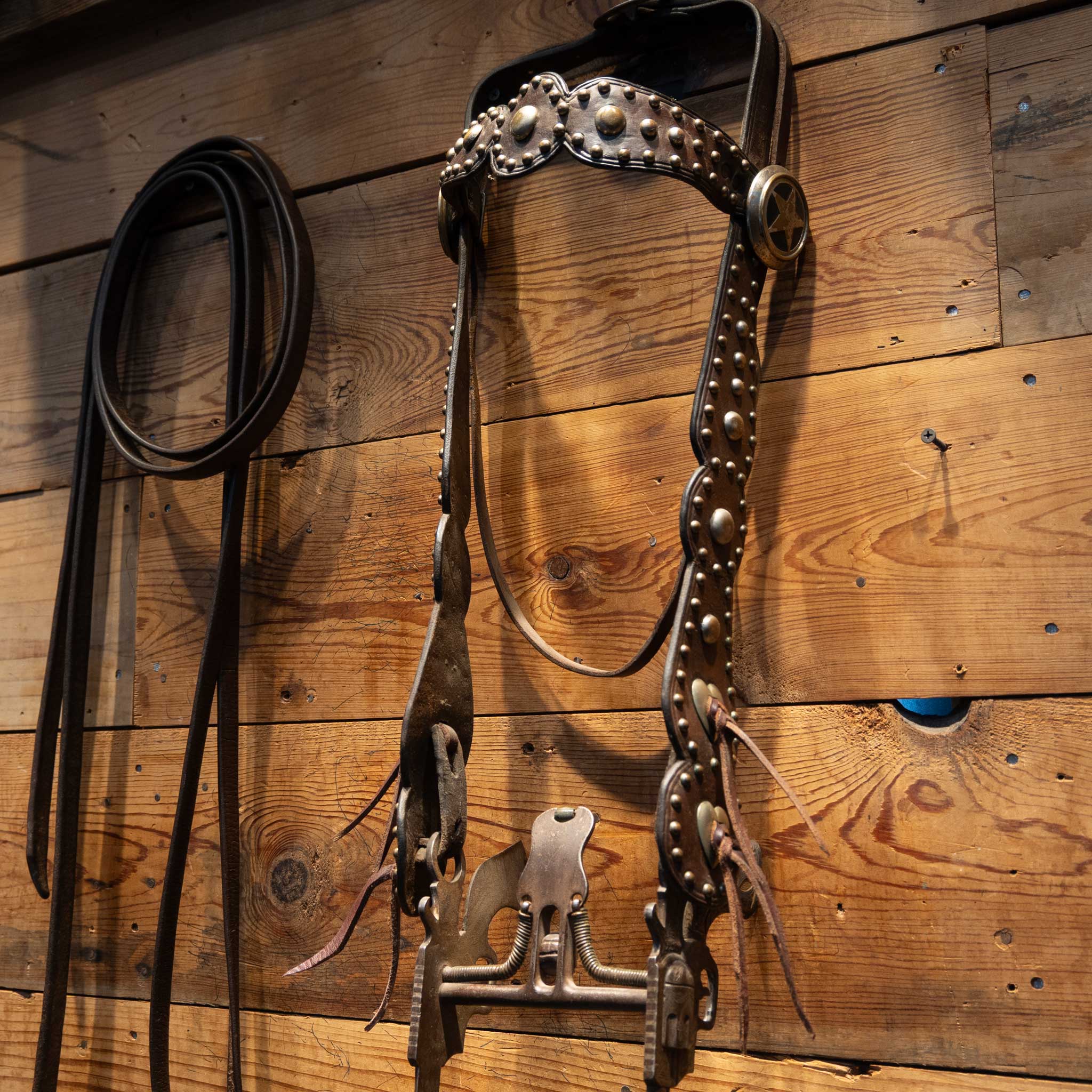 Vintage Pistol Shank Spade Bit Bridle Rig - Image 7