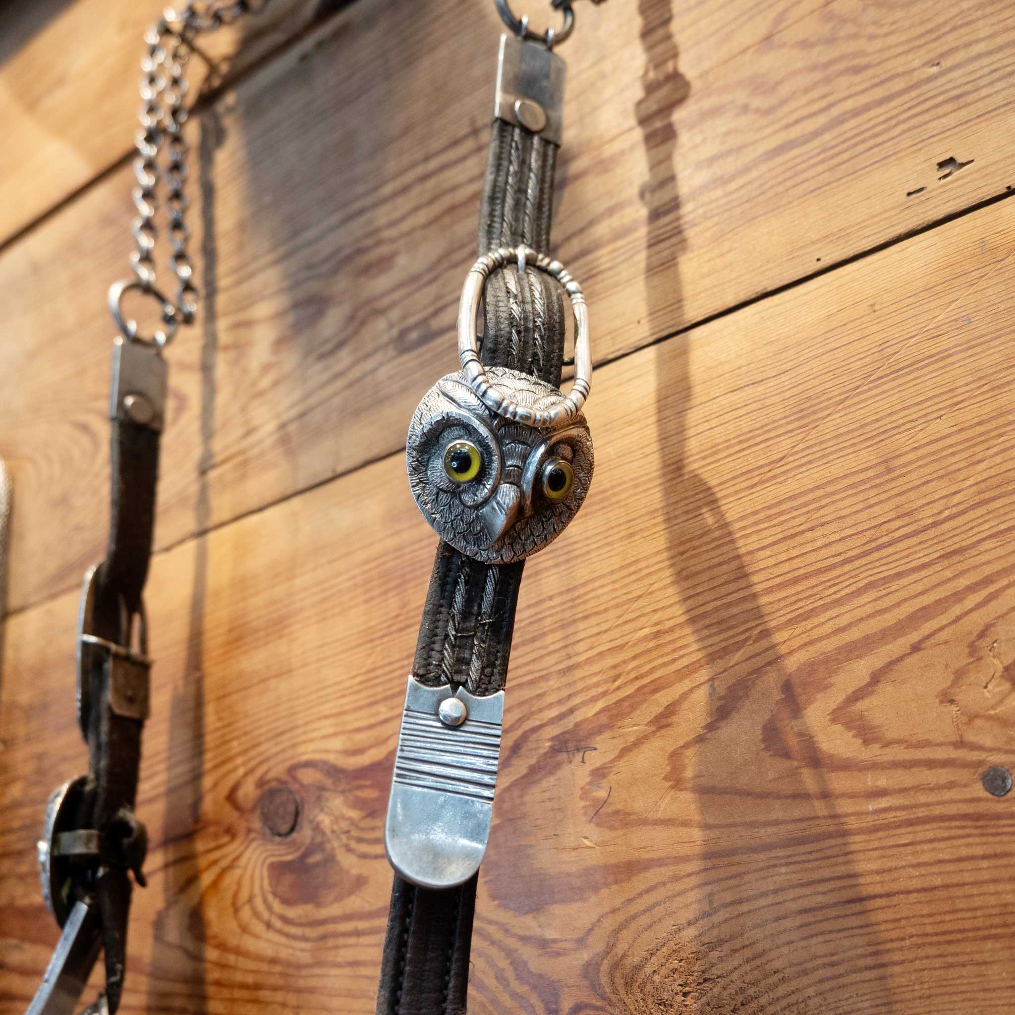 Vintage Owl Silver Bridle Rig w/Matching Reins - Image 4