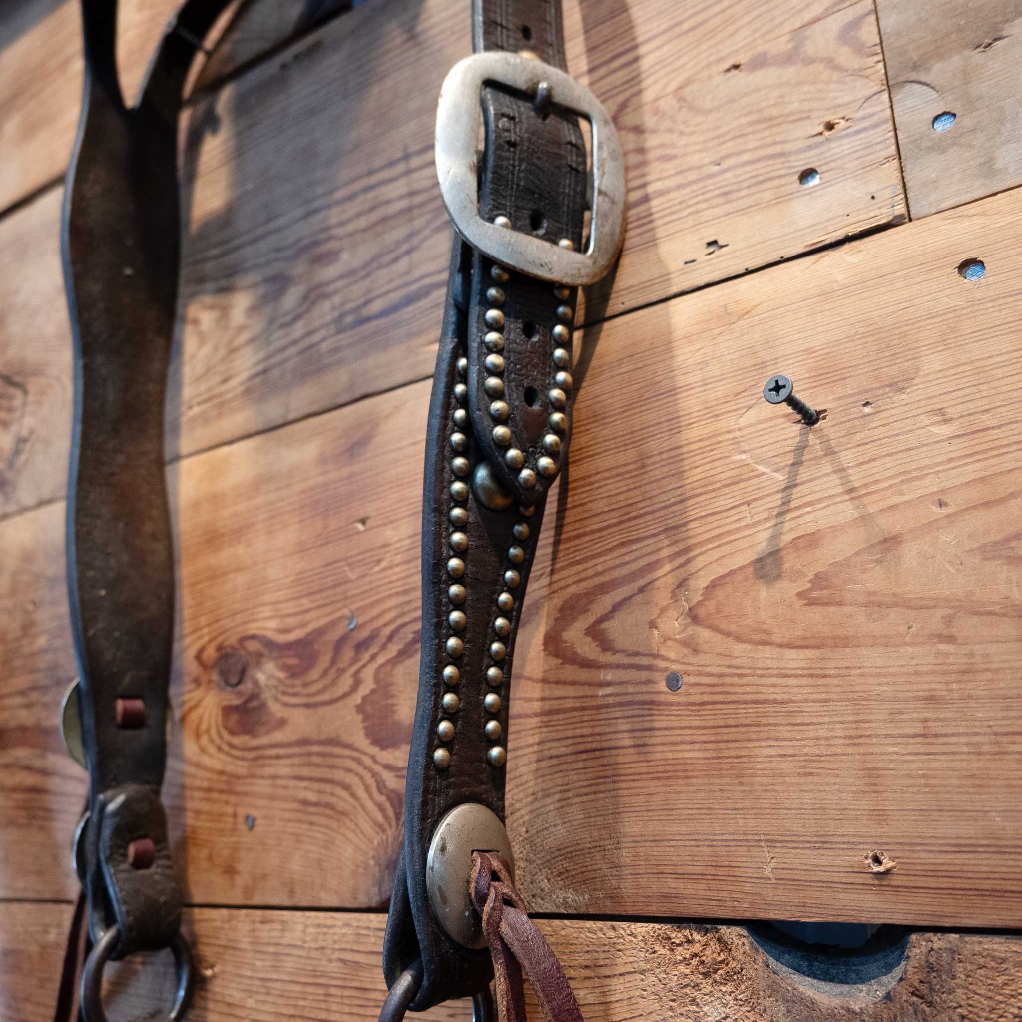 Vintage Western Style Silver Dots & Conchos Bridle Set - Image 3